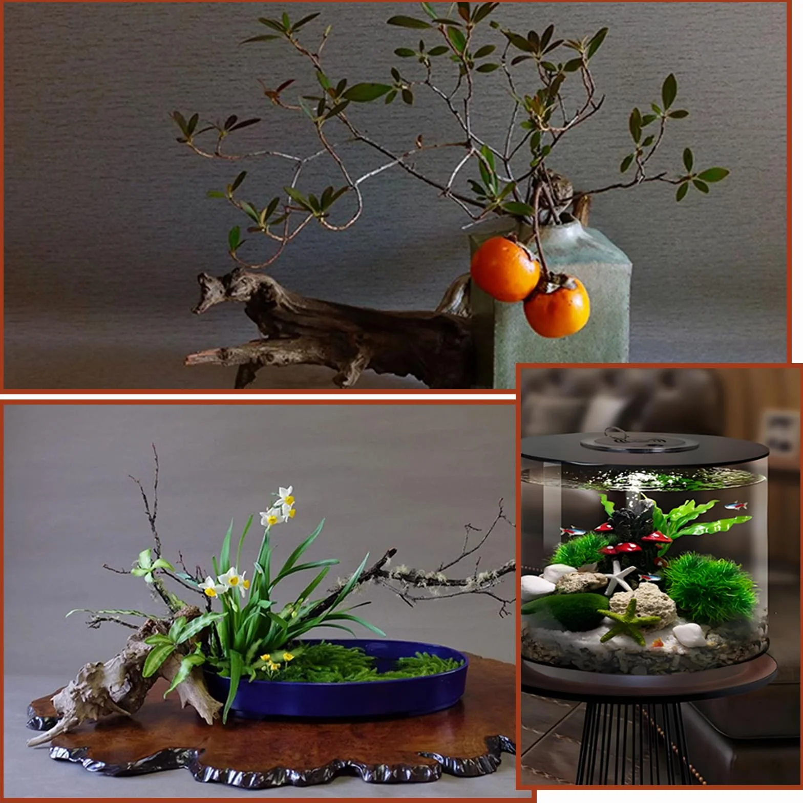 4 Pezzi Legno Acquario Piccolo Soprammobile Legno Galleggiante per Acquario 8-15 CM Decorazioni Acquario Acqua Dolce Decorazione per Acquariologia Rettili Decorazione D'interni