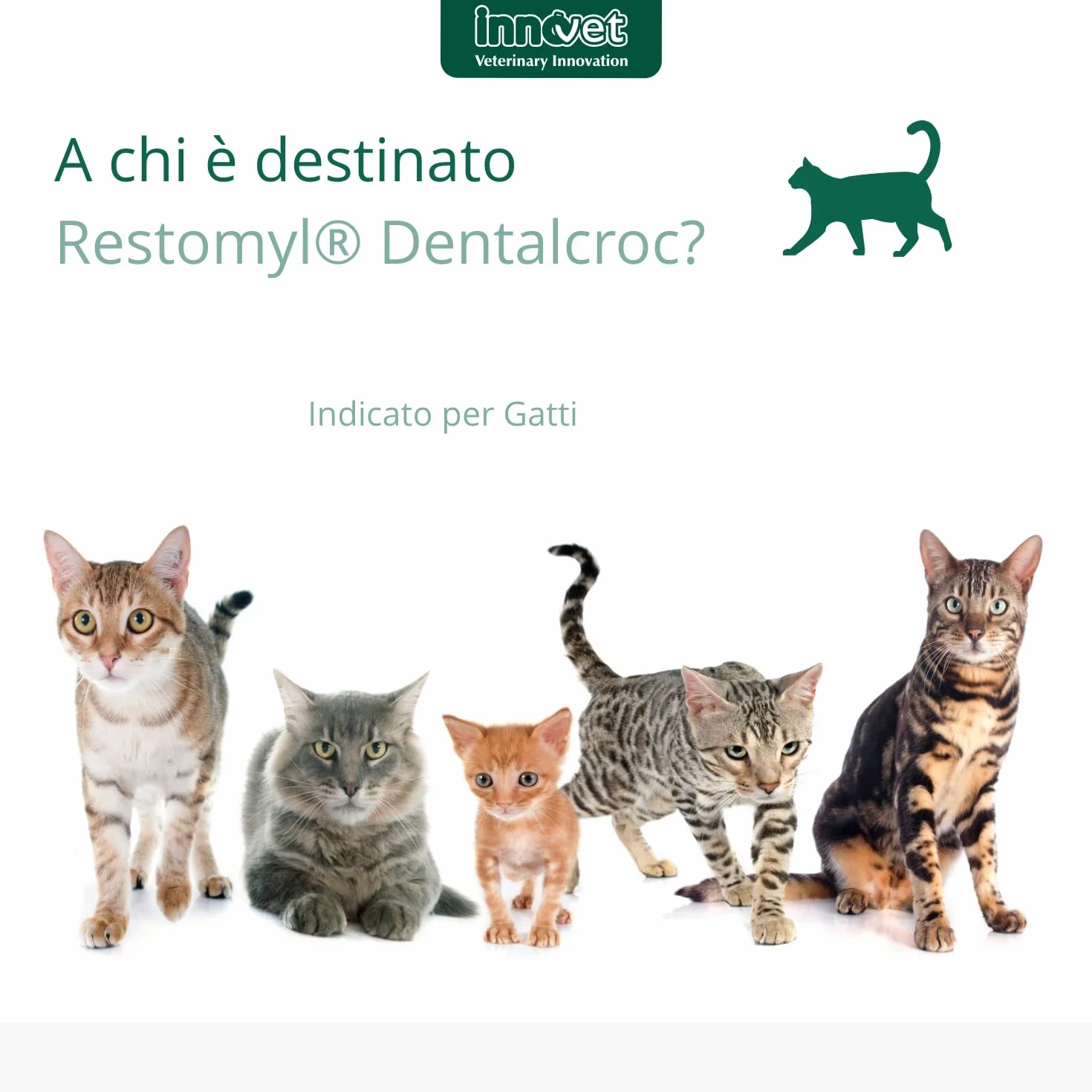 Innovet Restomyl Dentalcroc, Supporto nutrizionale, Migliora l'alito. Controlla e previene la Placca e Il Tartaro dei Gatti - Confezione con Busta da 60 g