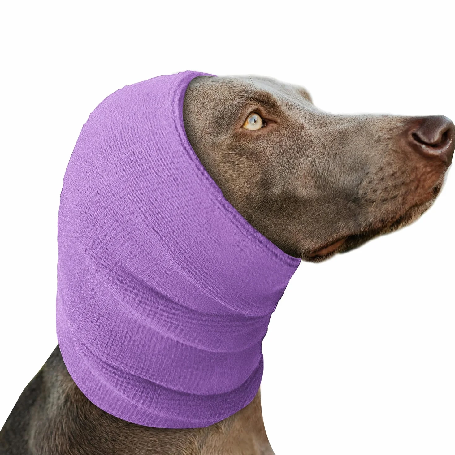 Voarge Bandana per Orecchie per Cani Protezione dell'Udito Viola L