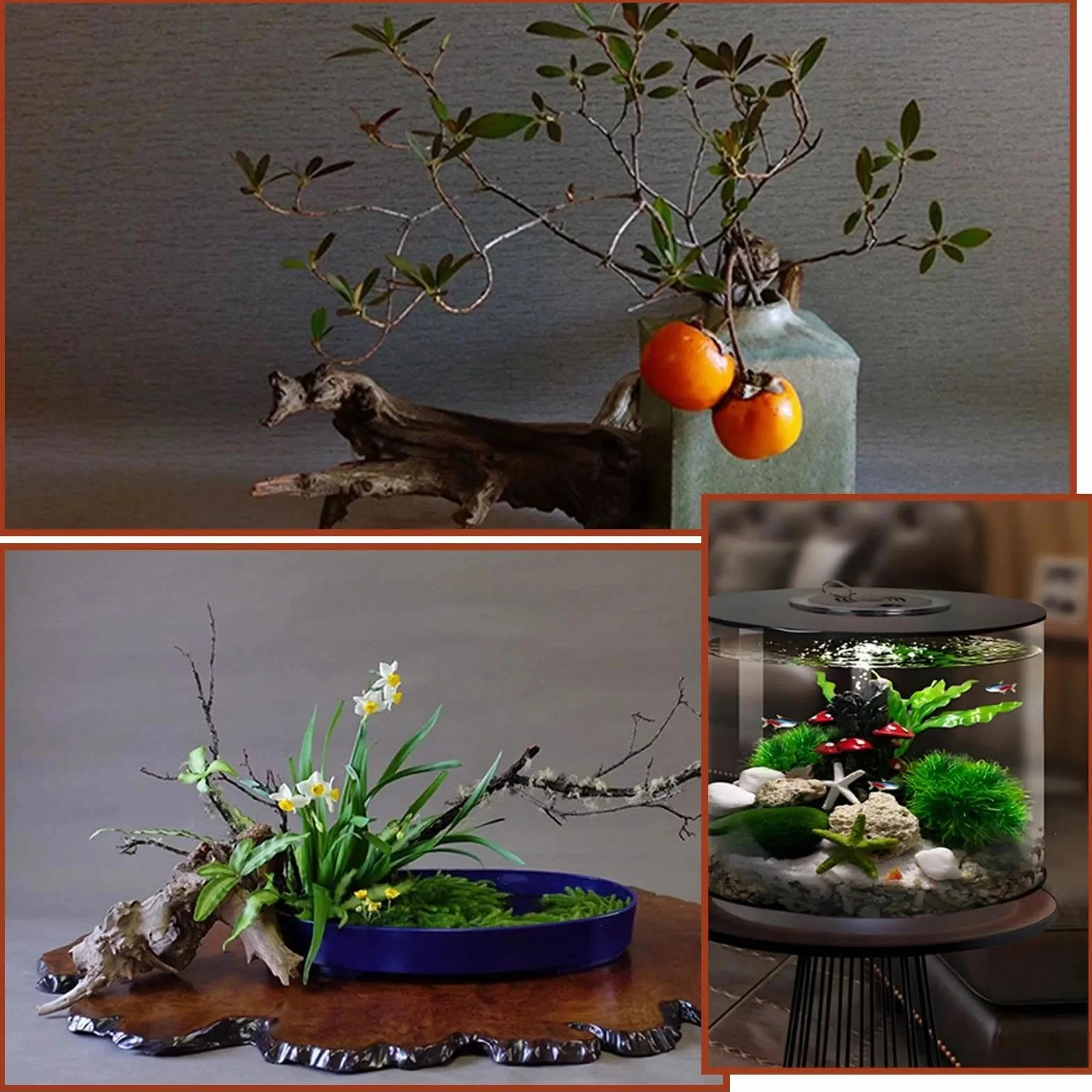 4 Pezzi Legno di Mangrovia per Acquario 10-15 cm, Radici Naturali in Legno per Decorazione, Legno per Acquario e Terrarium, Nascondiglio per Gamberi e Pesci