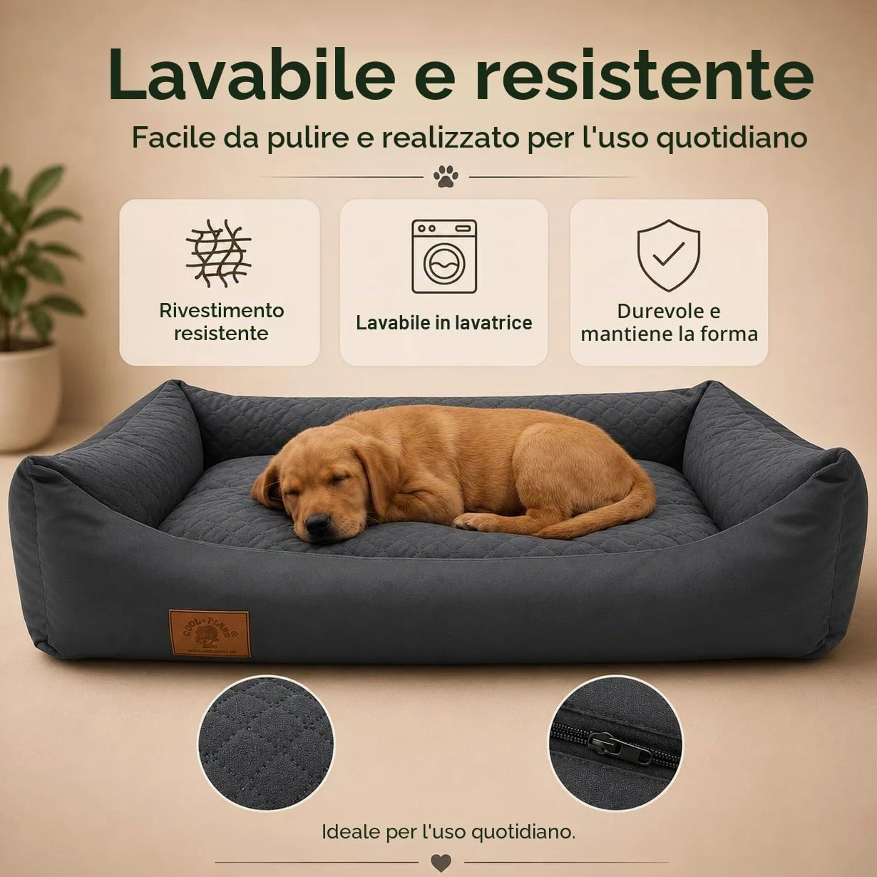 Odolplusz - Cuccia per cani XXL, cuscino per cani, divano per cani con cuscino reversibile (dimensioni e colore a scelta)