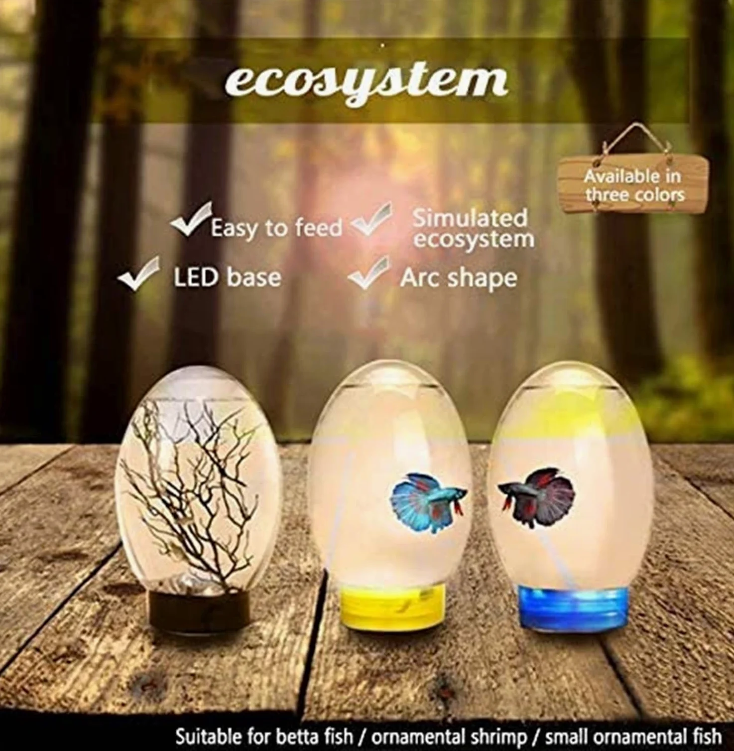 Acquario desktop con ecosistema acquatico chiuso, ecosfera per acquario piccolo, con illuminazione a LED, albero di ferro marino, conchiglia