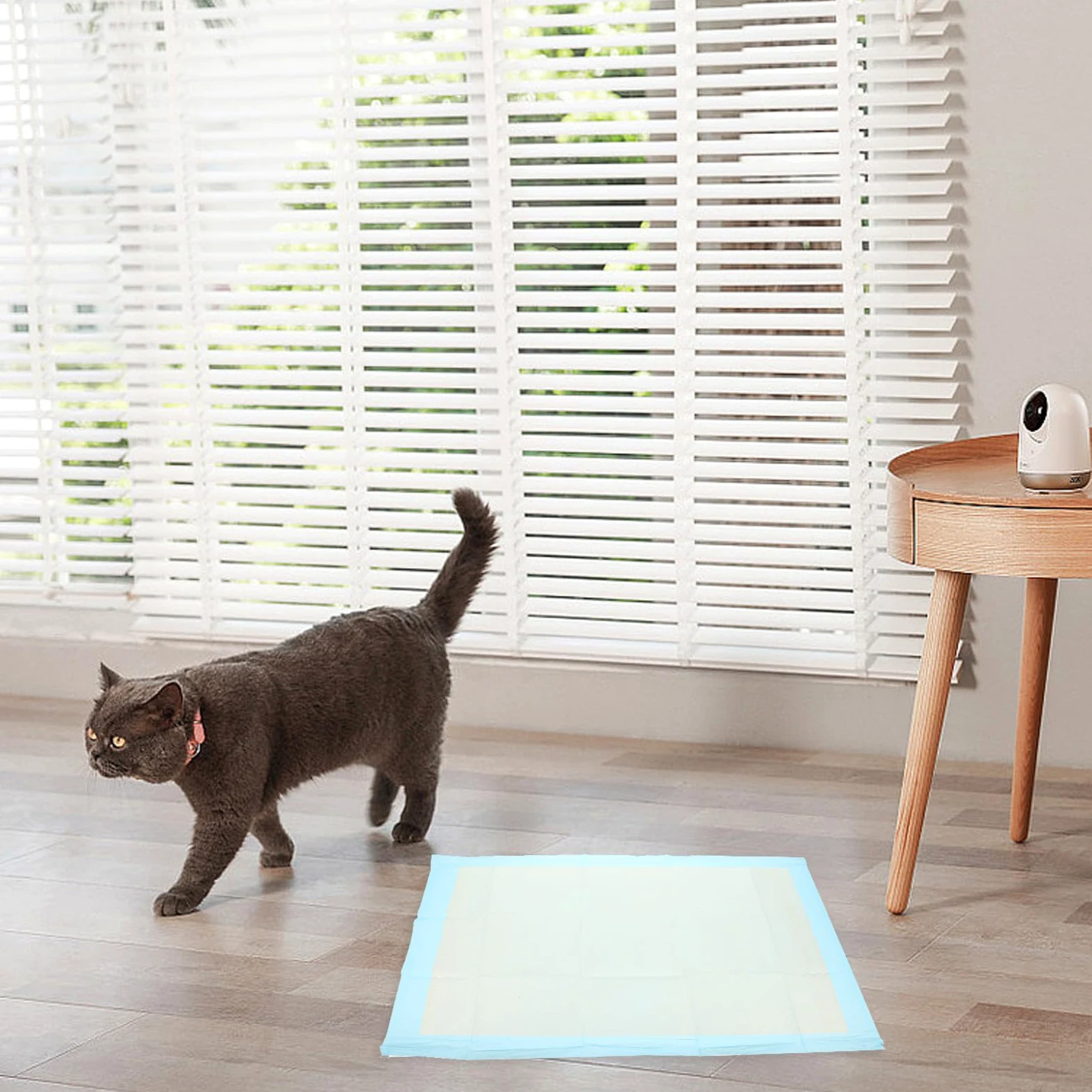 50 Pezzi Tappetini Igienici USA e Getta per Cuccioli e Gatti, Addestramento Materiale Non Tessuto, Rapida Asciugatura per Gabbia Piccoli Animali