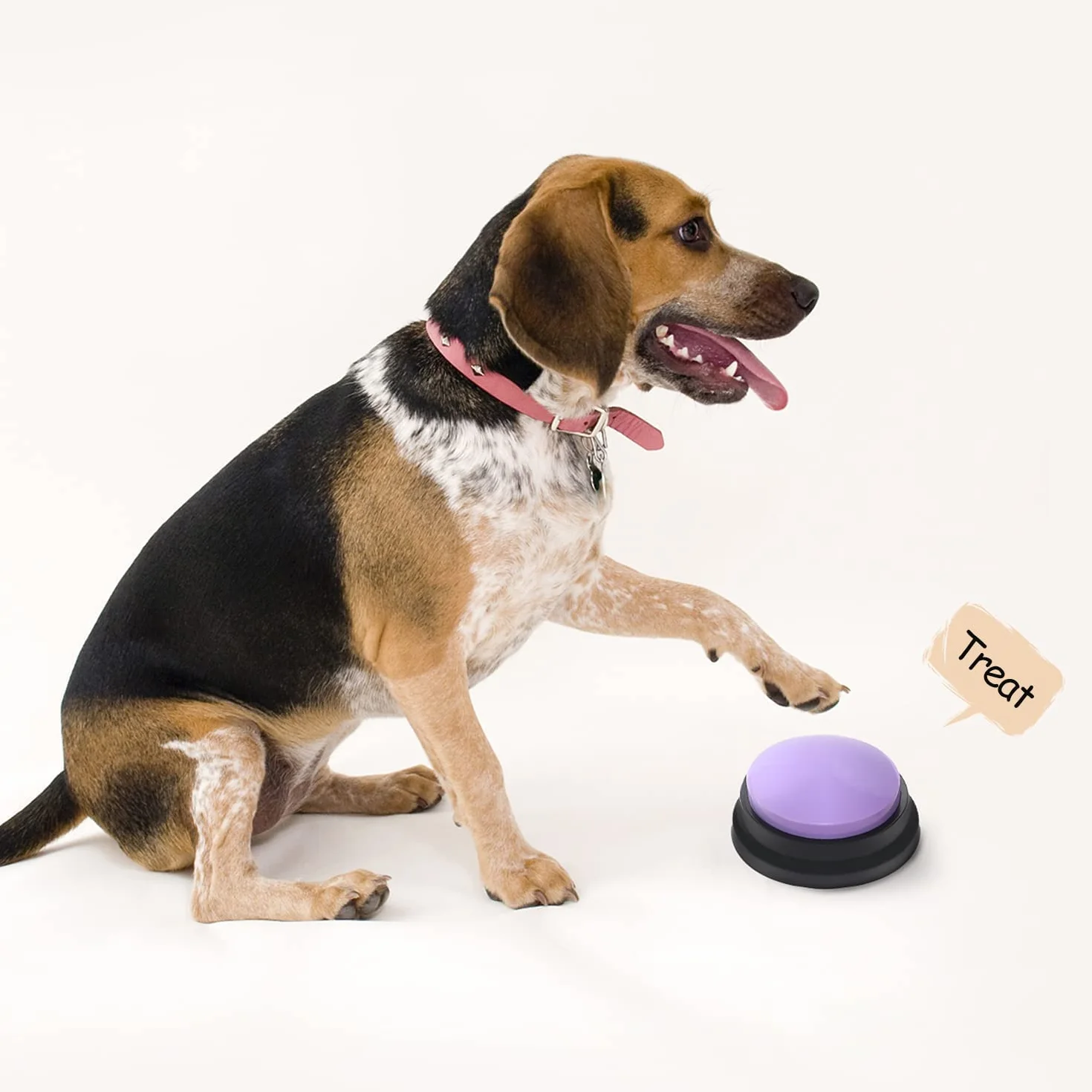 Pulsanti per cani per addestramento a parlare, per comunicazione, addestramento di animali domestici, risposta, cicalino, registrazione e riproduzione in 30 secondi, regalo divertente per scuola,
