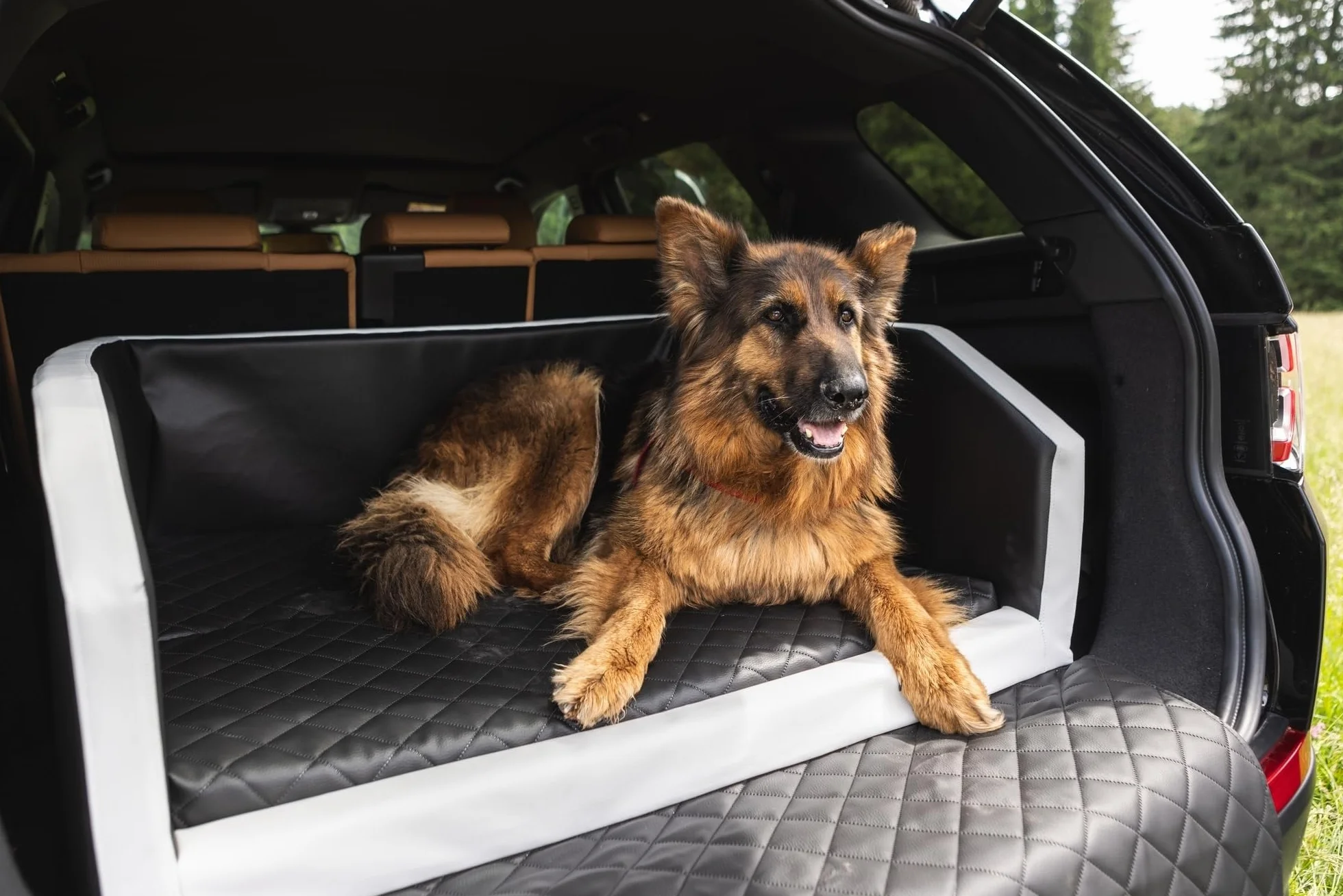 Velinda Trasportino Auto per Cani Materasso Bagagliaio Letto Macchina Cintura 90x55cm (Colore: Nero)