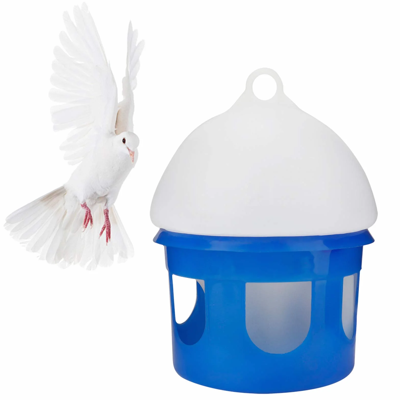 Yolispa Distributore di Acqua Mangiatoia per Piccioni Uccelli Abbeveratoio Automatico Grande capacità (2L)