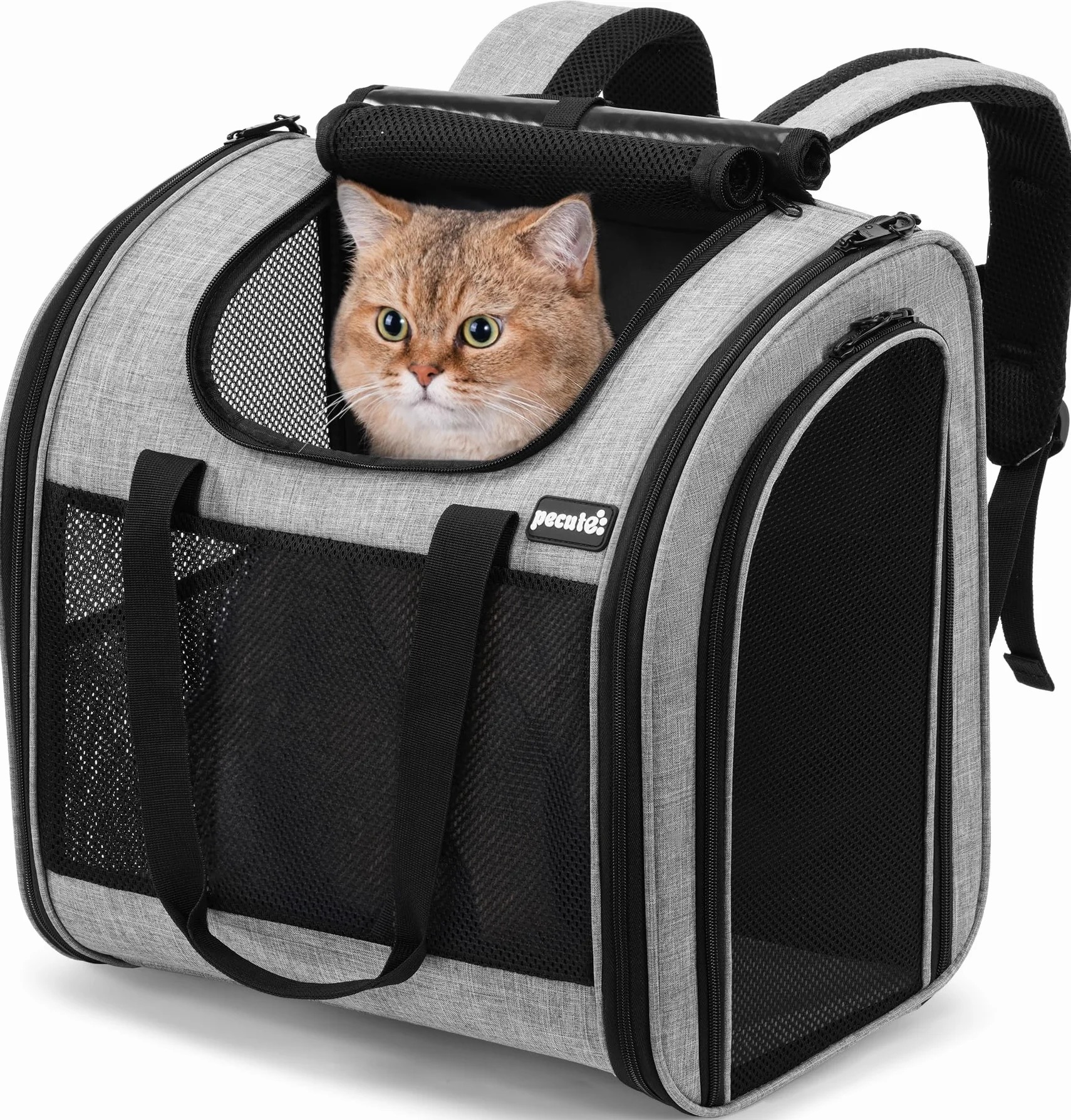 Pecute Zaino per Gatti e Cucciolo, Pieghevole, Design Ventilato, Cinghia di Sicurezza