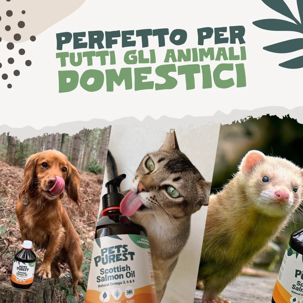 Pet Purest Olio di Salmone Scozzese per Cani, Gatti, Animali Domestici 500ml - Puro Olio di Pesce Integratore Alimentare Omega 3 6 9 per Pelo, Sistema Immunitario, Prurito, Articolazioni, Cervello