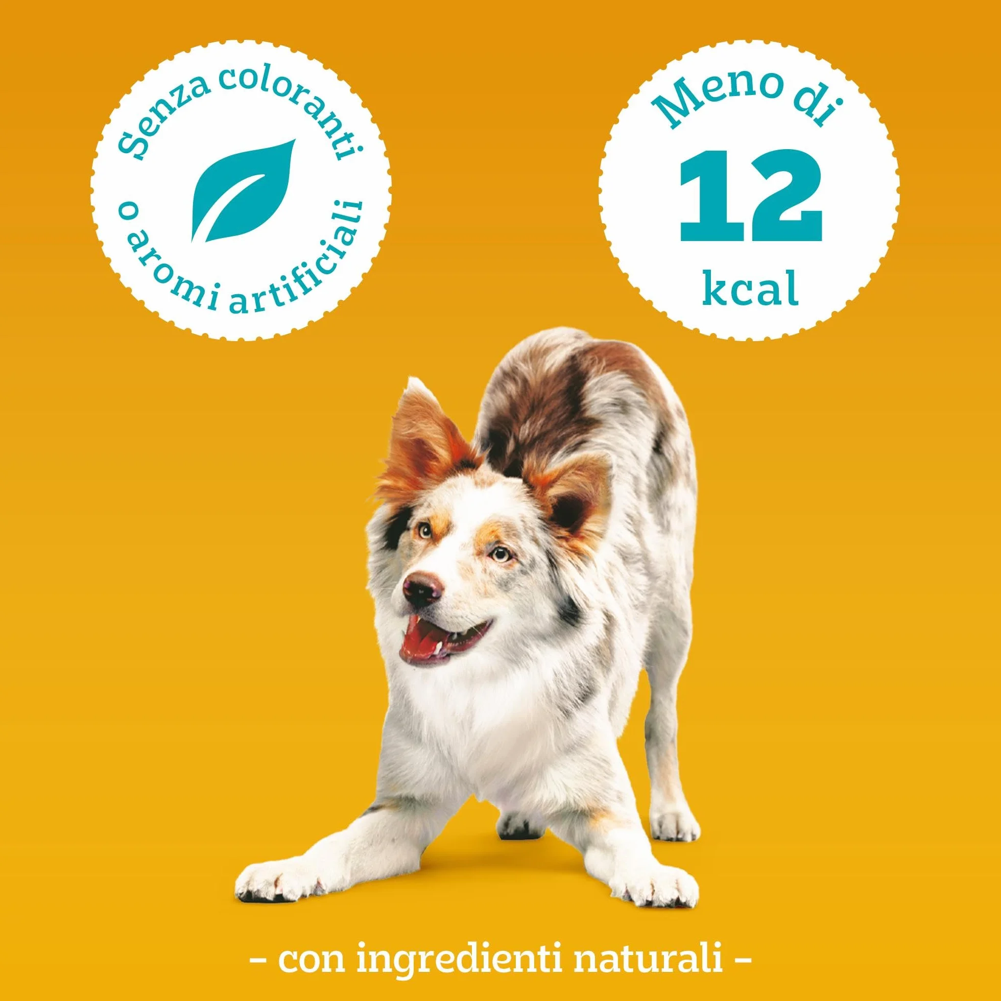 Pedigree Tasty Minis, Snack Cane al Pollo e Anatra, 6 Confezioni da 130g ciascuna