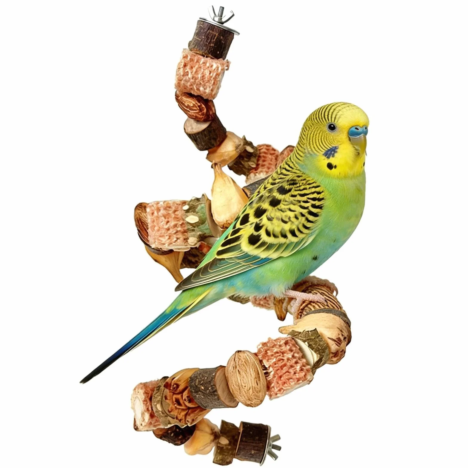 50 CM Trespolo per Pappagalli Giochi Pappagalli Accessori Pappagallini Giochi e Trespolo Posatoi Pappagallini per Parrocchetti Calopsite Cocorite Inseparabili Uccelli Medie Dimensioni