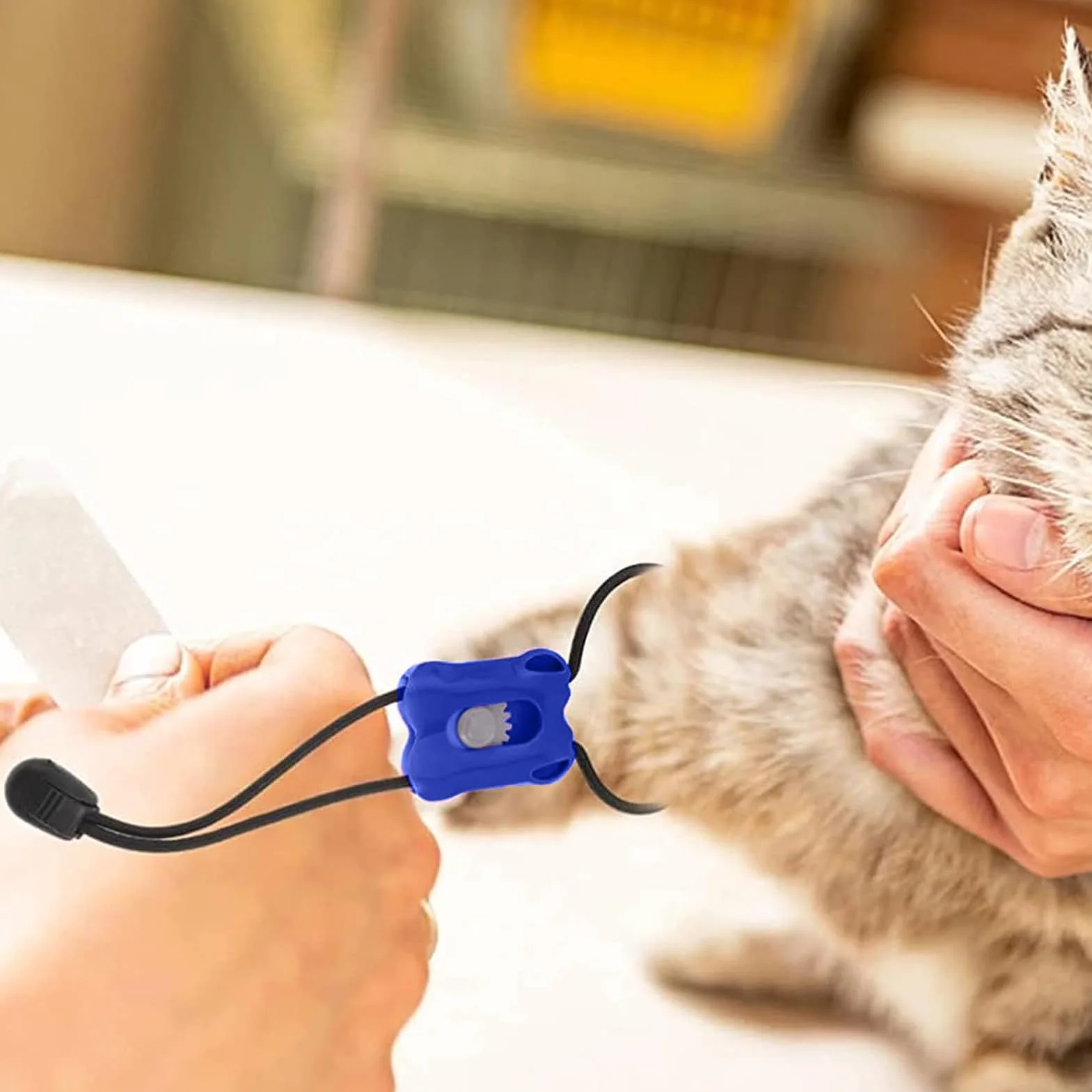 Kit o Emostatico per Gatti | Soccorso Emorragie e Emostatici - Controllo Sanguinamento Istantaneo Portatili Pronto Soccorso per Ferite Domestiche Viaggio Veterinario Cani Gatti