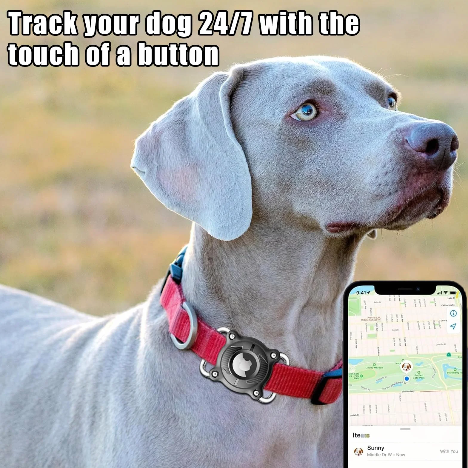 Impermeabile Collare Cane con Fibbia Metallica Staccabile Porta Cane 4 cm di Larghezza Collare GPS per Cani, Compatibile con Apple (Nero)