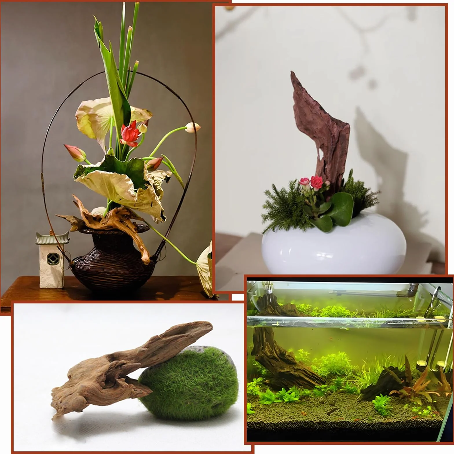 4 Pezzi Legno Acquario Piccolo Soprammobile Legno Galleggiante per Acquario 8-15 CM Decorazioni Acquario Acqua Dolce Decorazione per Acquariologia Rettili Decorazione D'interni