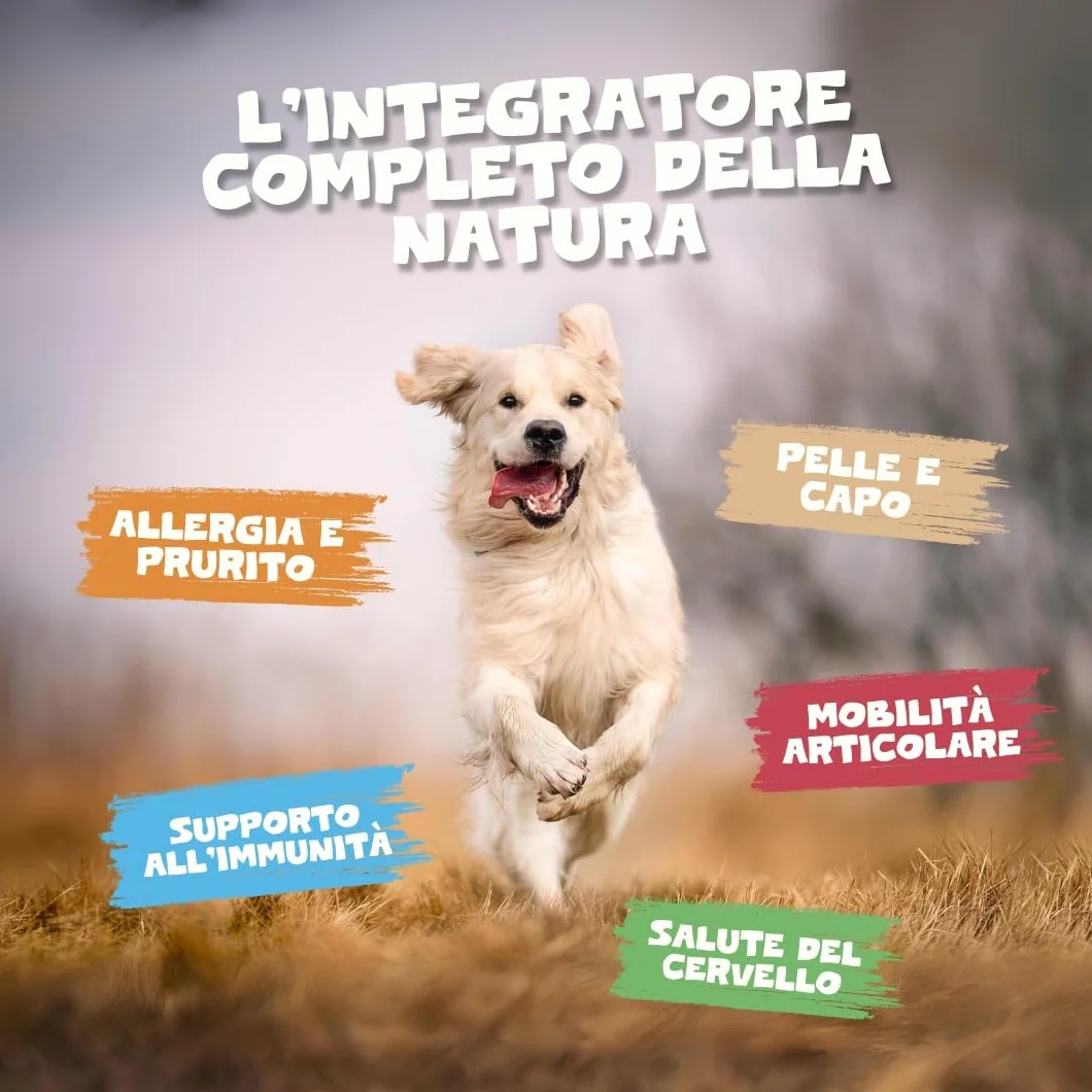 Pet Purest Olio di Salmone Scozzese per Cani, Gatti, Animali Domestici 500ml - Puro Olio di Pesce Integratore Alimentare Omega 3 6 9 per Pelo, Sistema Immunitario, Prurito, Articolazioni, Cervello