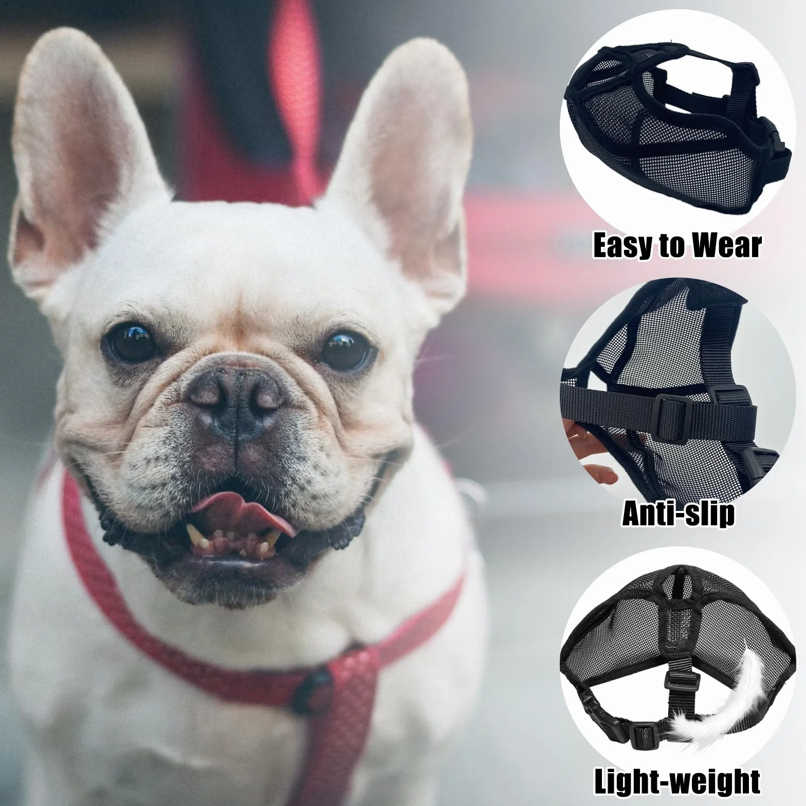 Museruola Maschera Antimorsata Piatta per Cani a Muso Breve, Bulldog Francese, Shih Tzu e Pug