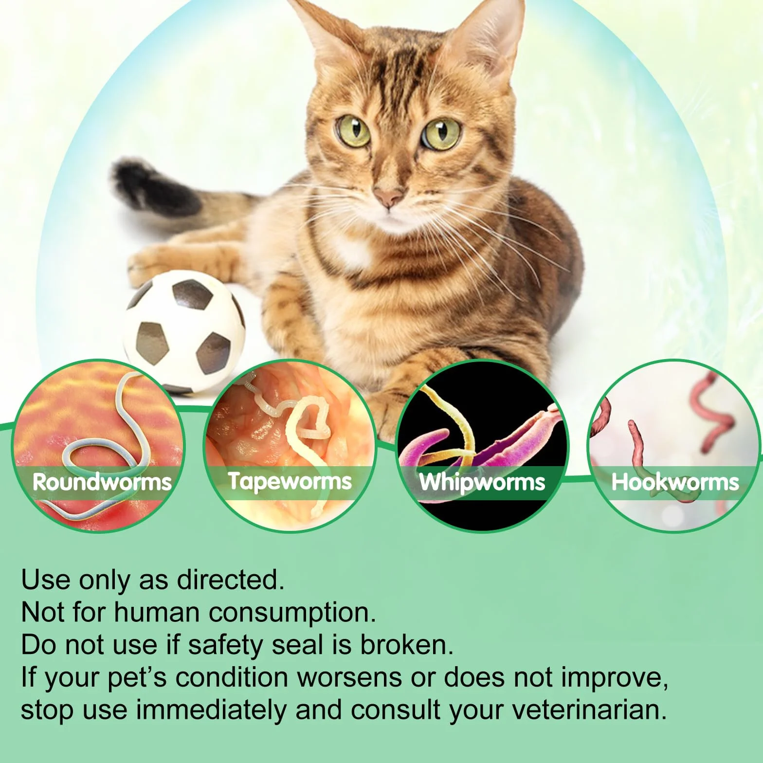 Trattamento per vermi per gatti – 60 ml gocce per vermi di gatto – Vermi di erbe con Probitici – Migliorare la digestione, la spinta immunitaria – Antiparassiti – Vermi a banda larga – Sicuro
