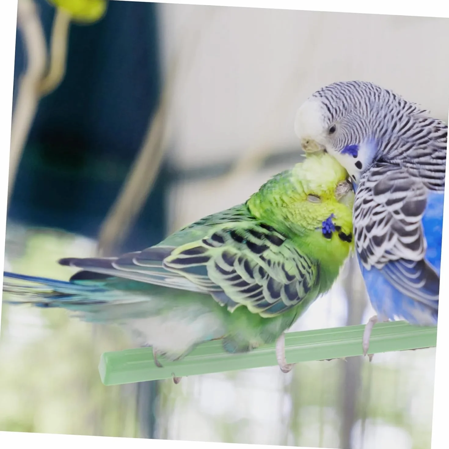 20 Pezzi Palo in Piedi Per Uccelli Trespolo Per Uccelli in Plastica Posatoio Per Il Riposo Del Pappagallo Posatoi Per Gabbie Per Uccelli Uccello Abito Stand Gabbia Per Uccelli (plastica)