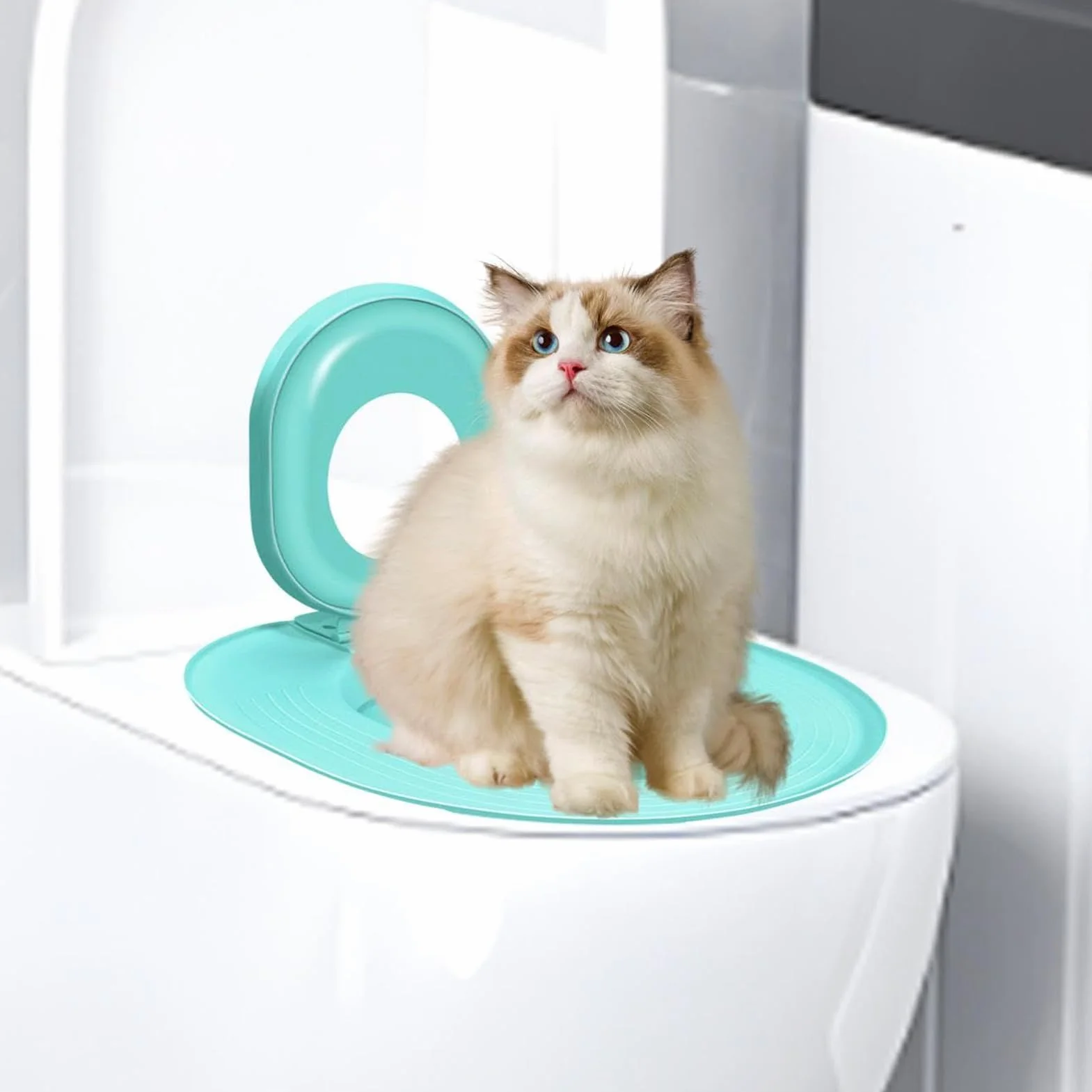 Cat Toilet Trainer Kit, Kitten Potty Teaching Seat, Leakproof Non-Stick Design, Easy-to-Use Toilet, 15.35x14.37 inches, Ideal for Apartment, Bathroom & House Training, Aqua Green
