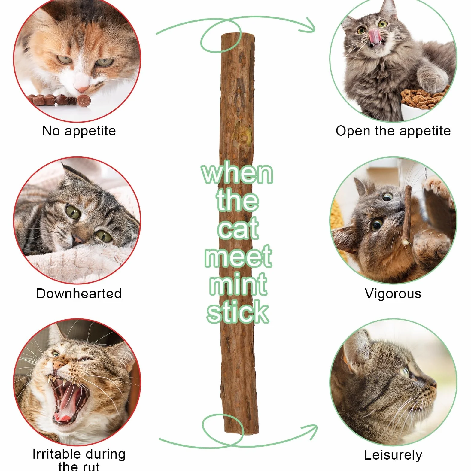 20 Pezzi Bastoncino di Erba per Gatti Naturali, Gatto Giocattoli Matatabi Erba