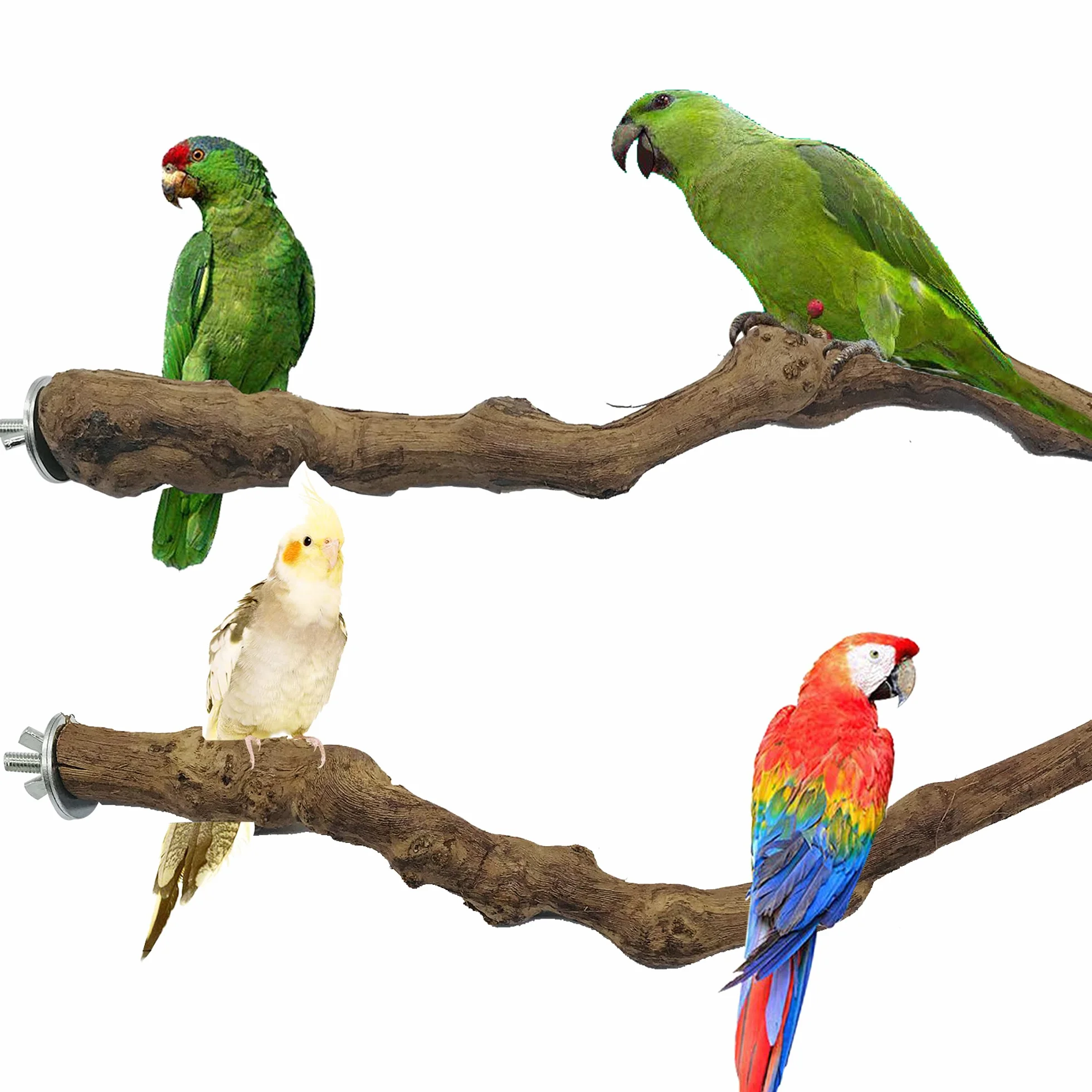 4 Pz Giocattolo per Pappagalli, Ramo D'uva Naturale Giocattolo per Uccelli, Trespolo Posatoio Supporti per Uccelli in Legno Naturale per Piccolo Medi Pappagalli