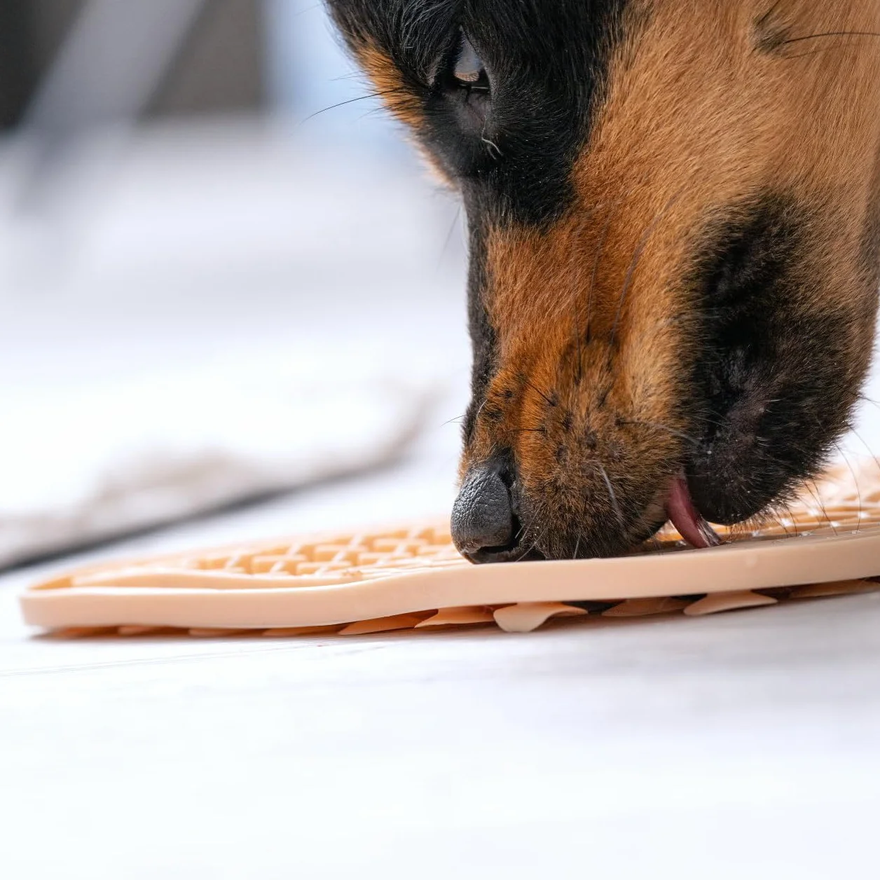 Fackelmann Tappetino lecca-cibo in silicone antiscivolo, per alimentazione lenta e digestione sana per cani e gatti, lavabile in lavastoviglie, riutilizzabile, slow feeder, gioco interattivo