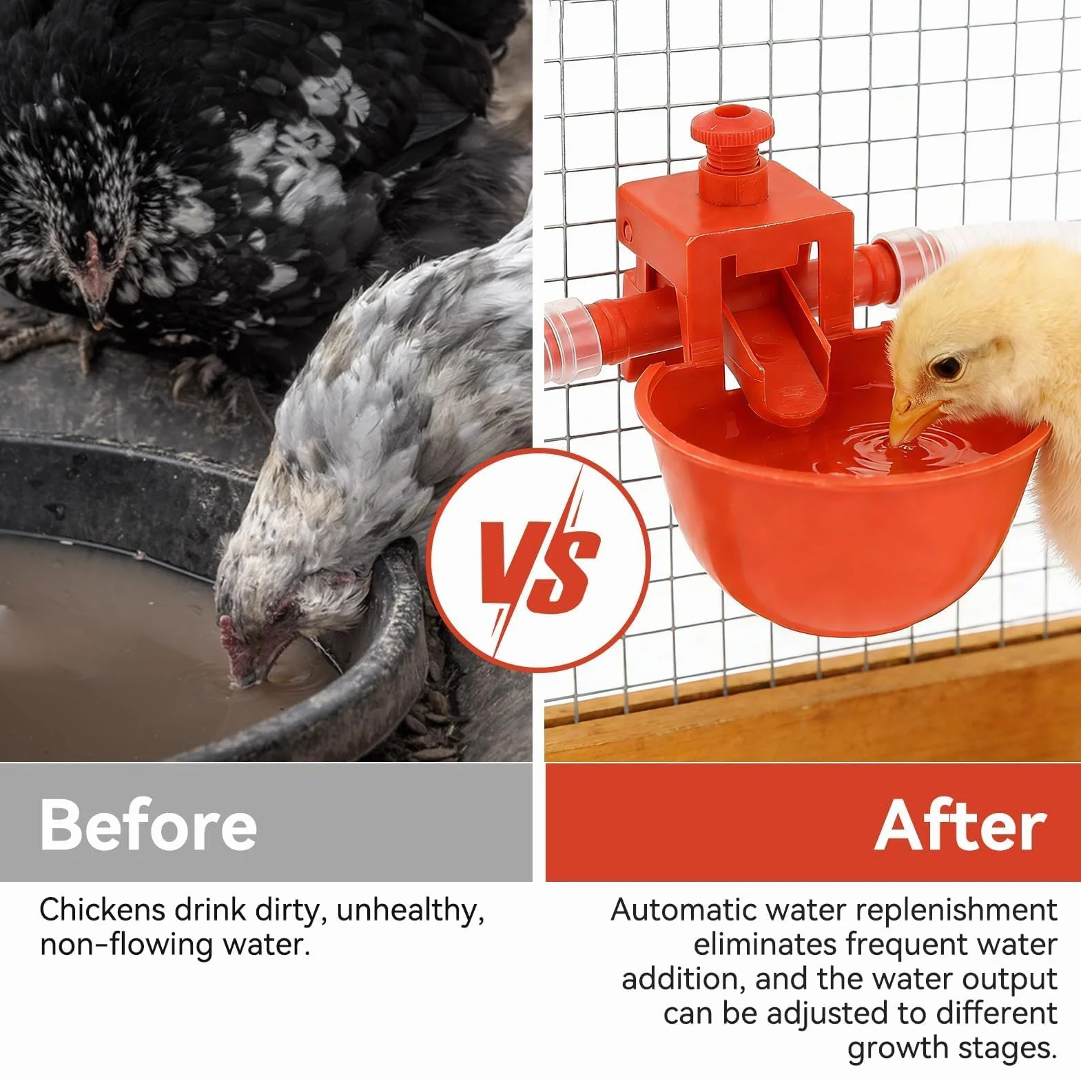 10 Tazze per Abbeveratoio Pollo, Bevitori Automatici in Plastica Mangiatoie Utensili Acqua Potabile, Macchina Bere Pollame Gabbie Abbeveratoio Da 3,5 Pollici Tazza per Uccello Quaglia Piccione Pollo