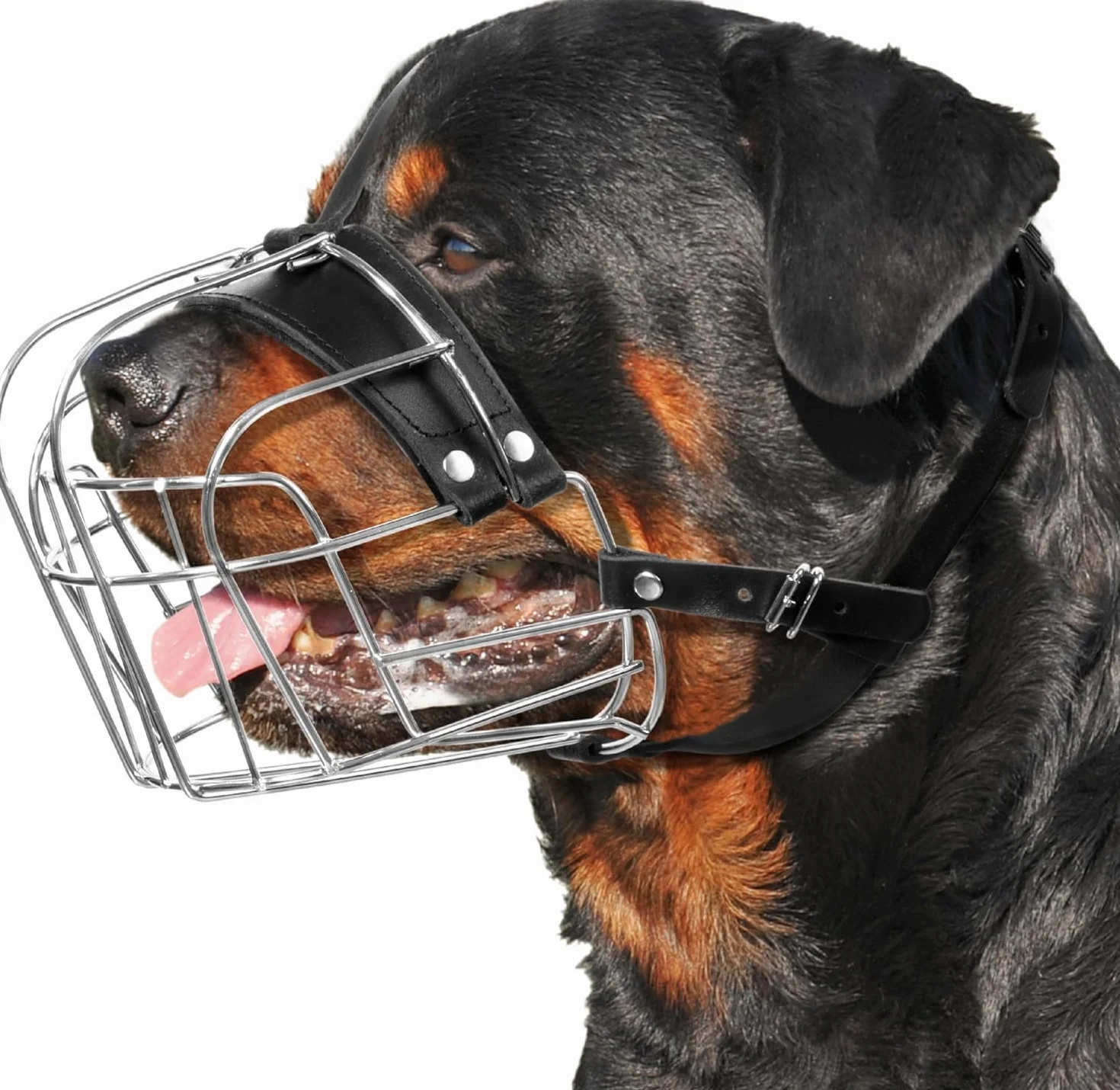 Museruola in metallo per cani di taglia grande – Museruola resistente per rottweiler – Museruola grande per cani che abbaiano e mordono cane Corso, Mastino, Labrador, Bulldog, Alabai e altre grandi