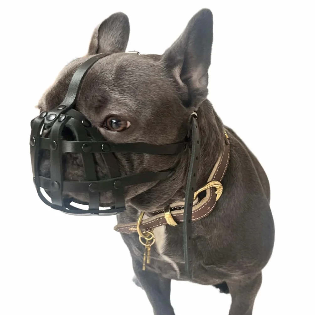 Museruola in pelle leggera, per bulldog francese