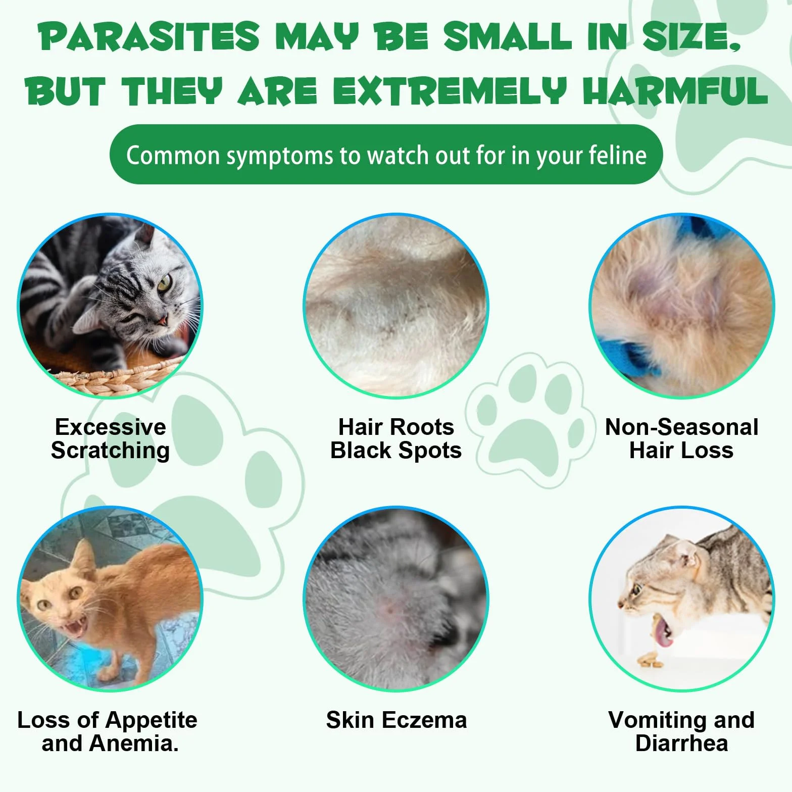 Trattamento per vermi per gatti – 60 ml gocce per vermi di gatto – Vermi di erbe con Probitici – Migliorare la digestione, la spinta immunitaria – Antiparassiti – Vermi a banda larga – Sicuro