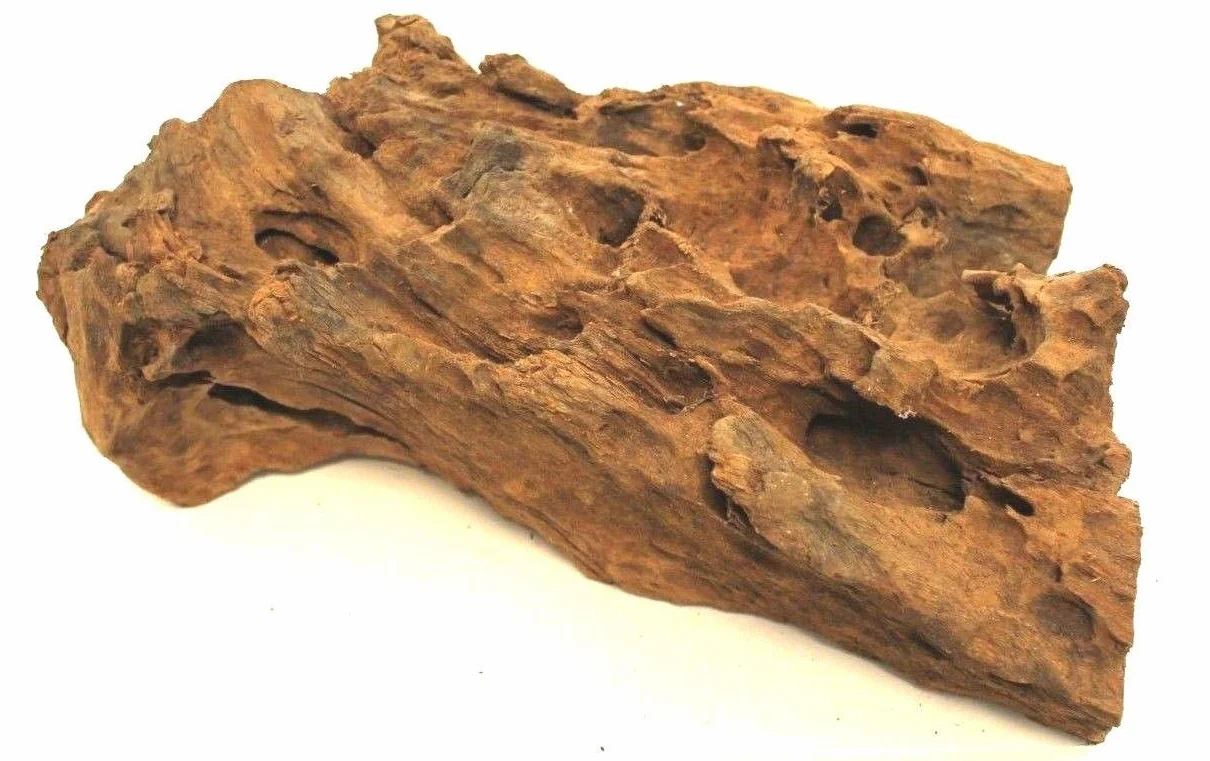 Wohnkult Radice di mangrovia XL 60-45 cm Decorazione per Acquario Radice Legno Mangrovia