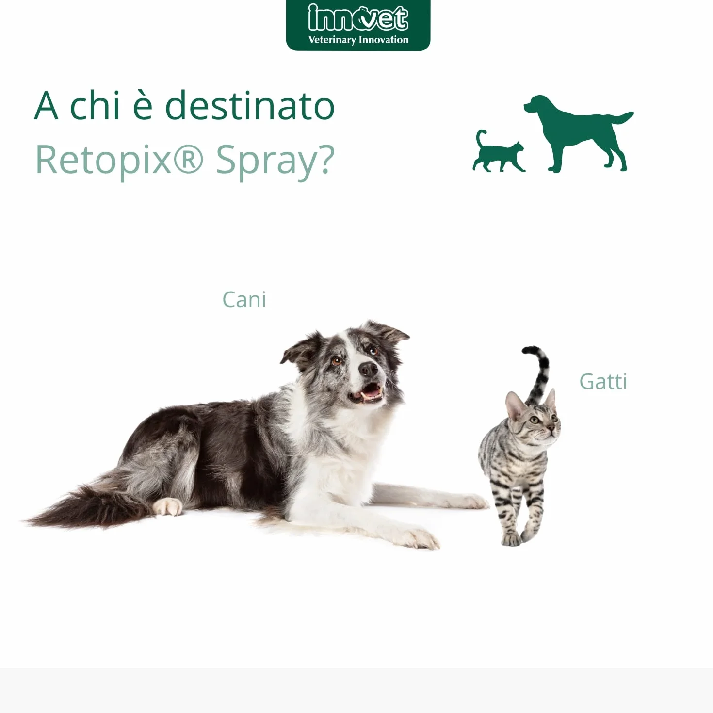 Retopix Spray Soluzione dermatologica lenitiva e igienizzante per Cani e Gatti, in caso di Secrezioni Oleose ed Arrossamenti - Confezione 100 ml spray no gas