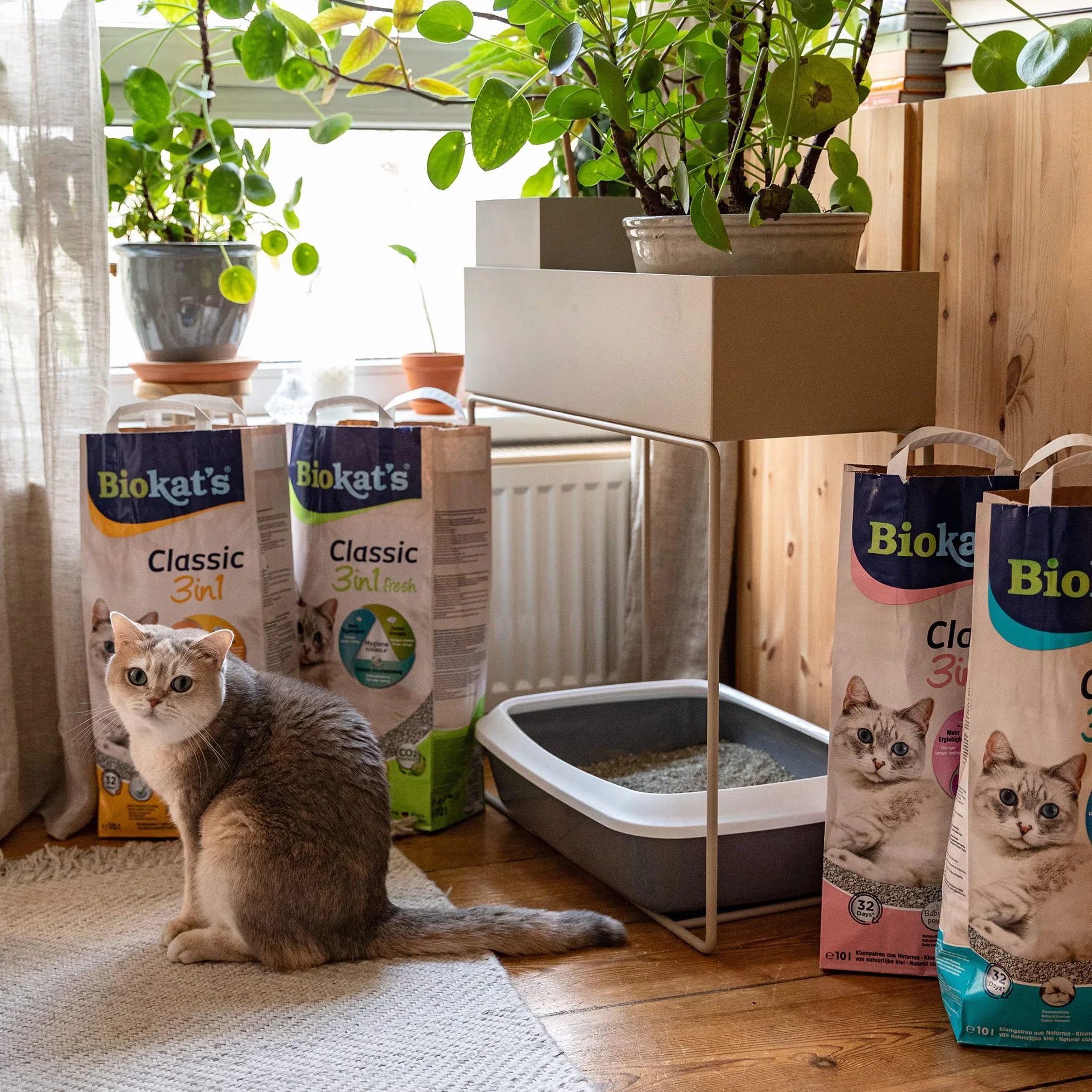 Biokat's Classic fresh 3in1 con profumo di vera, Lettiera agglomerante con 3 diverse dimensioni di grani, 1 sacco, 1 x 10 L