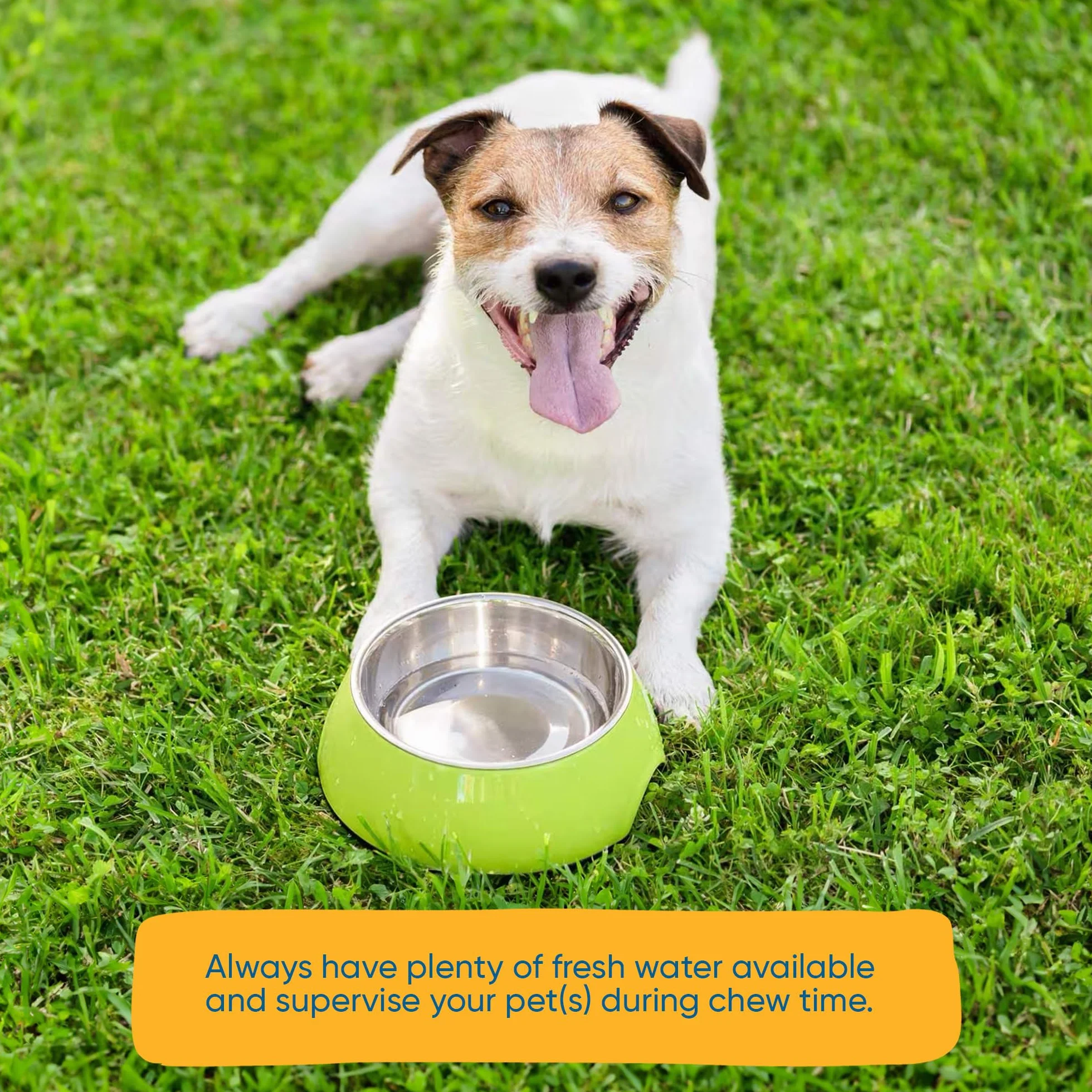 123 Treats Grandi orecchie di maiale per cani Cane di qualità mastica orecchie di maiale al 100% naturali ricche di proteine per il tuo animale domestico (30 pezzi)
