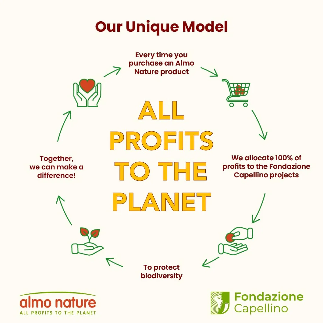 almo Nature Daily Menu Paté di Cane con Pesce Bianco e Riso, 300 g, Confezione da 9
