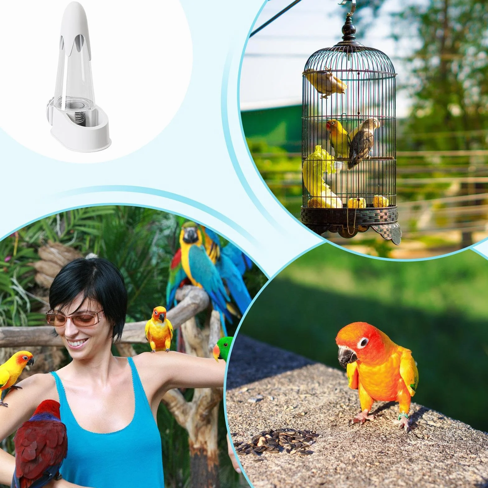 lyanny Bevi Uccelli - Automatico Dispenser Acqua Uccelli - Idratante Facile Da Installare Per Pappagalli Parrocchetti Piccoli Animali Domestici