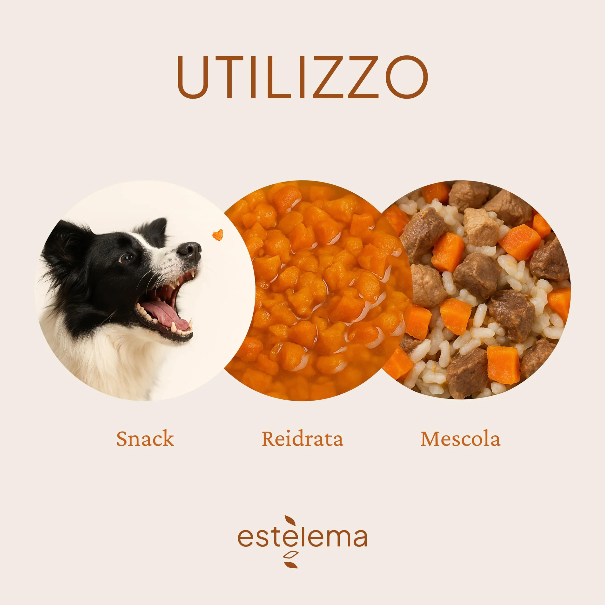 Carote Disidratate a pezzi per Cani 400g | 100% Naturali, Senza Additivi | Snack e Integrazione Dieta Casalinga BARF | 15 g ≈ 100 g Carote Fresche