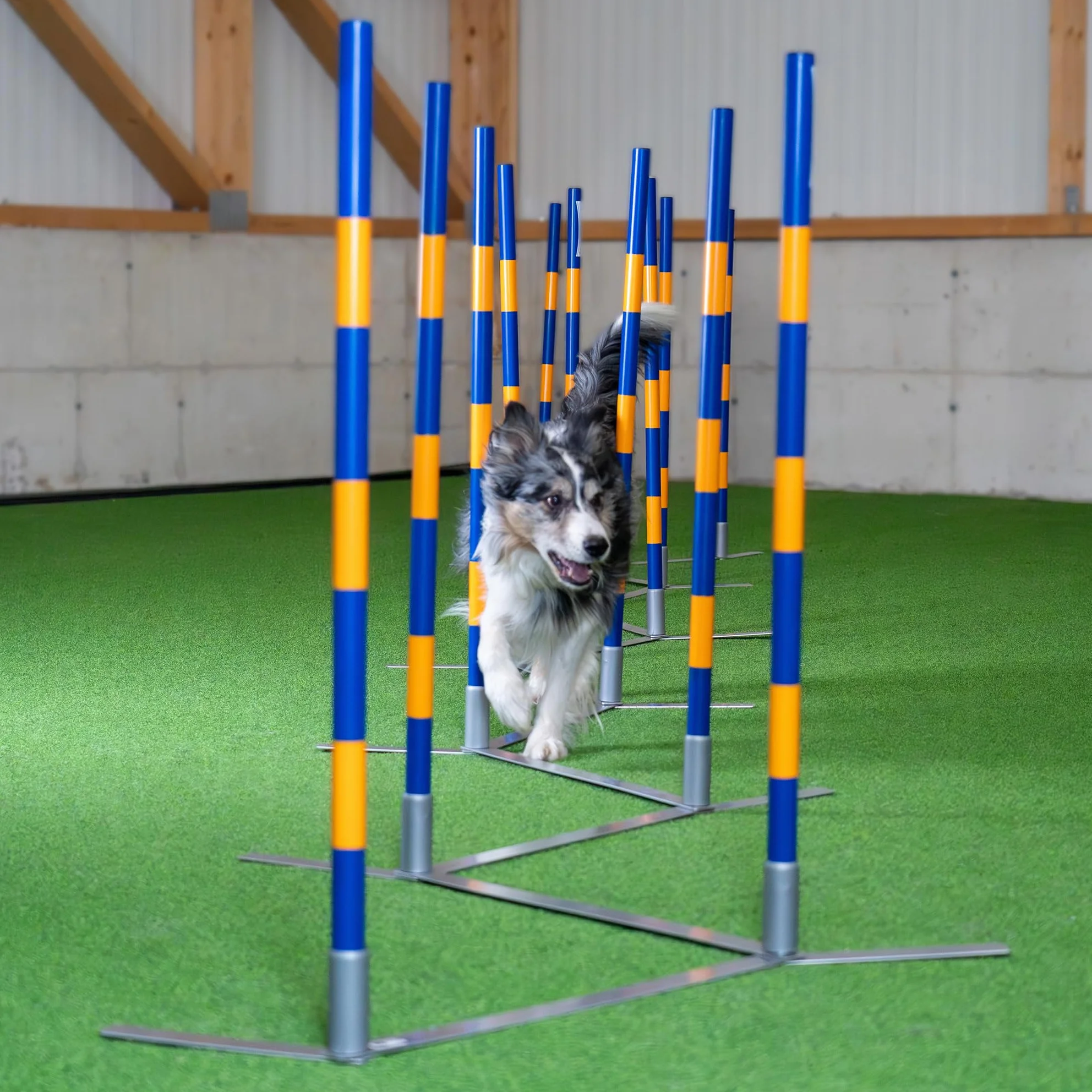 Agility Slalom originale Callieway ®, SLALOM A IMBUTO, slalom stretto, Agility Channel Weaves (conforme alla FCI)