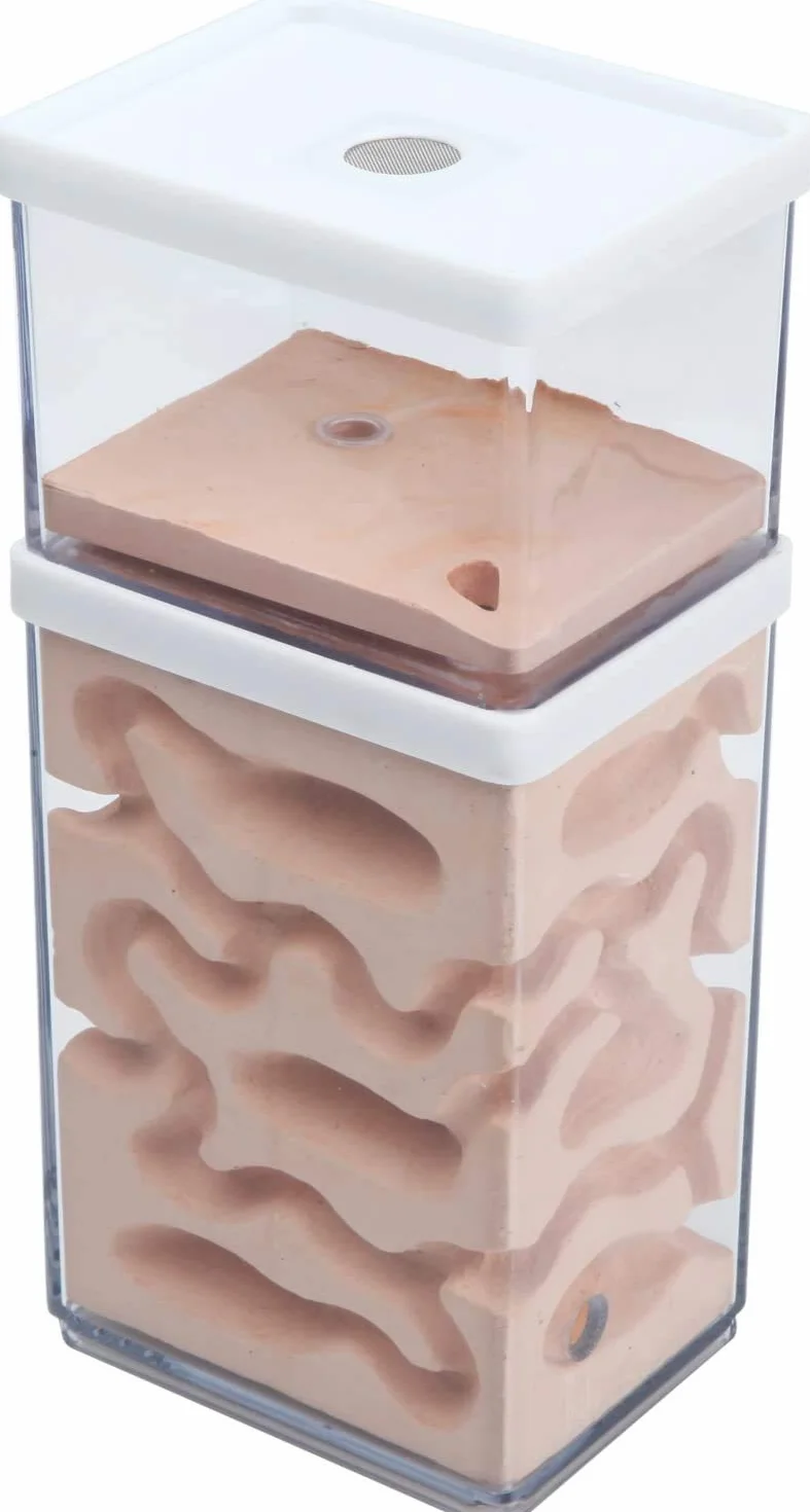 aleawol Formicario Natural Formica Nido, Formicario in Gesso Trasparente Formica Scatola Allevamento Formiche Terrario Ant House Ant Farm Ant Nest Habitat