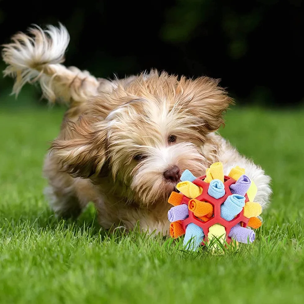 Jiahuade Palla da Fiuto per Cani,Sniffing Ball per Cani,Palla da Sniffing Mat Interattivi,Gioco Sfera Puzzle cani,Tappeto da Fiuto,Giocattolo Puzzle