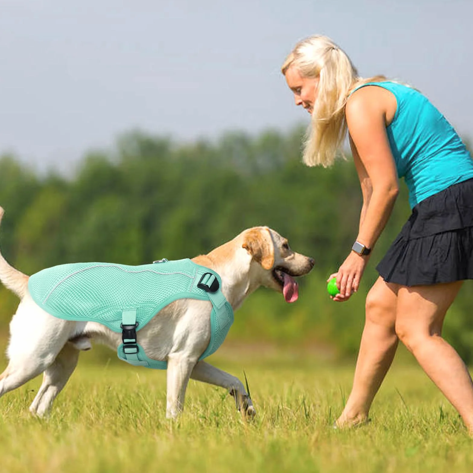 Kuoser Gilet di raffreddamento per cani, cappotto fresco traspirante per cani, imbracatura di raffreddamento riflettente per cani, verde, S