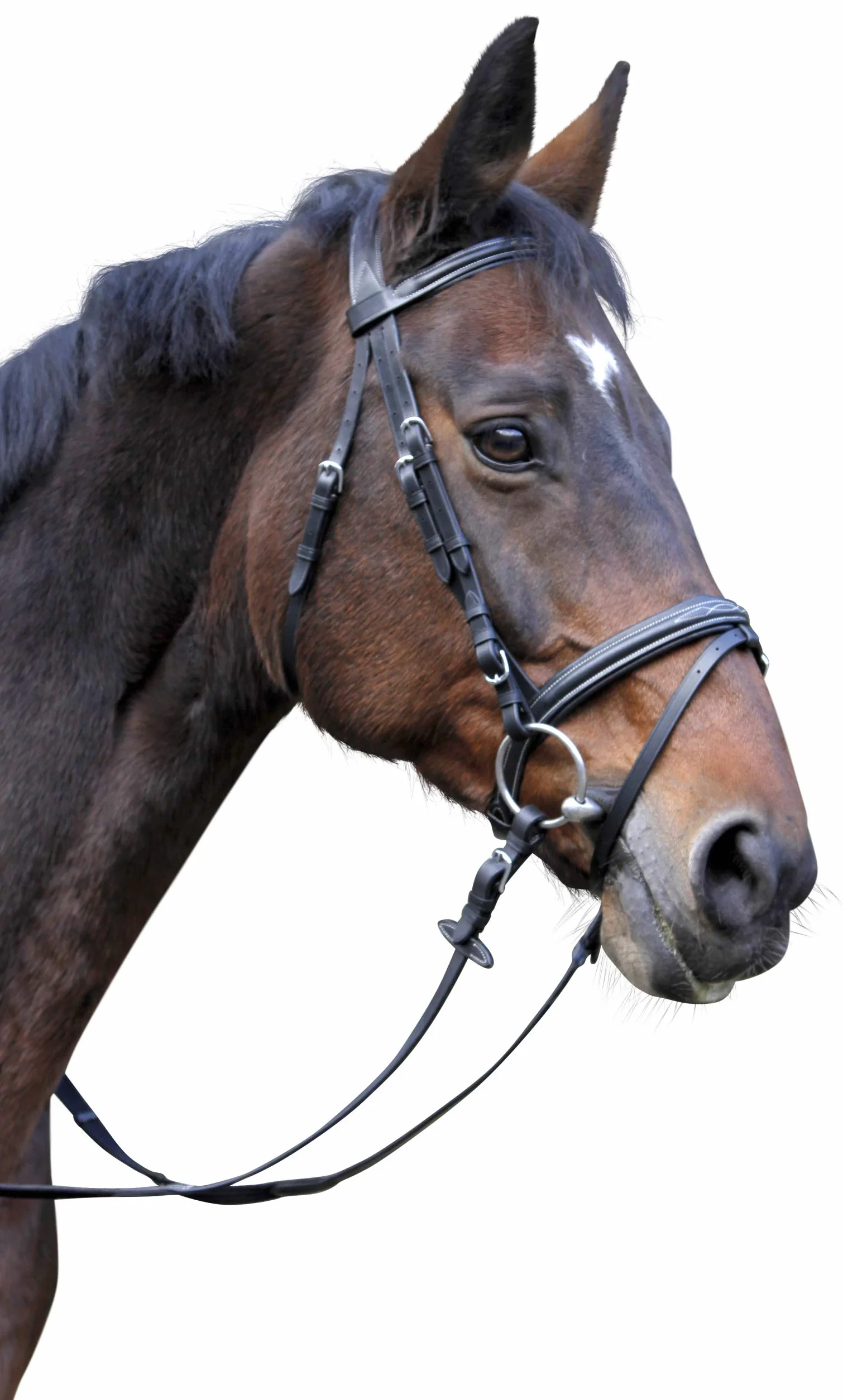 Kerbl Briglia Classic Pony w Pelle Marrone