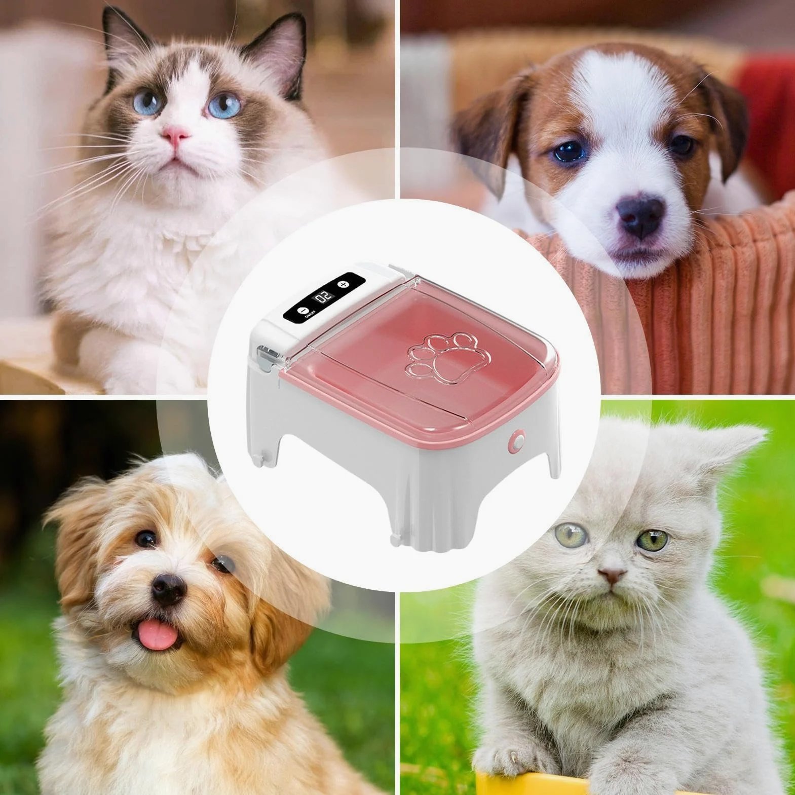 Distributore Automatico Di Cibo Umido Per Gatti Elettrica Cibo Secco | Sensore Adatto a Tutte le Razze, , Cani Piccoli e Cuccioli