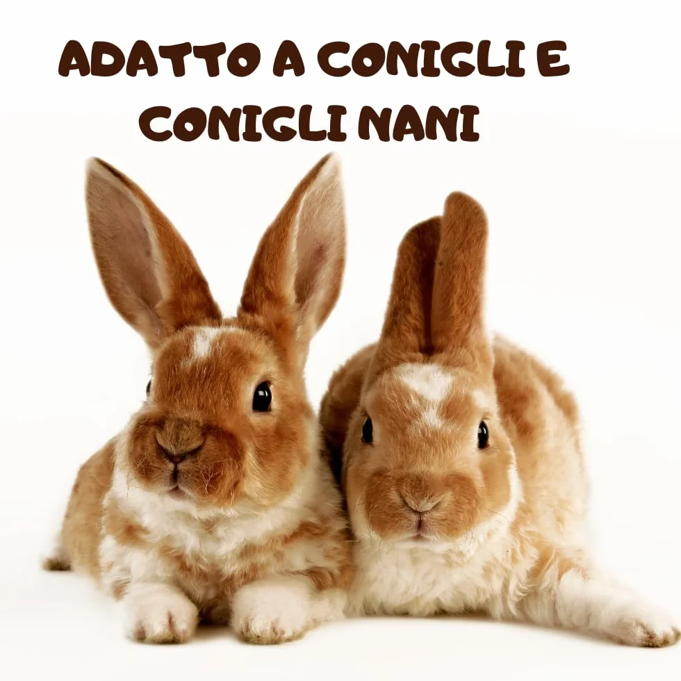 Badia Mangime per Coniglio: Confezione da 10 kg di Nutrizione Equilibrata per Conigli e Conigli Nani, il Cibo Essenziale per il Benessere dei tuoi Piccoli Amici!