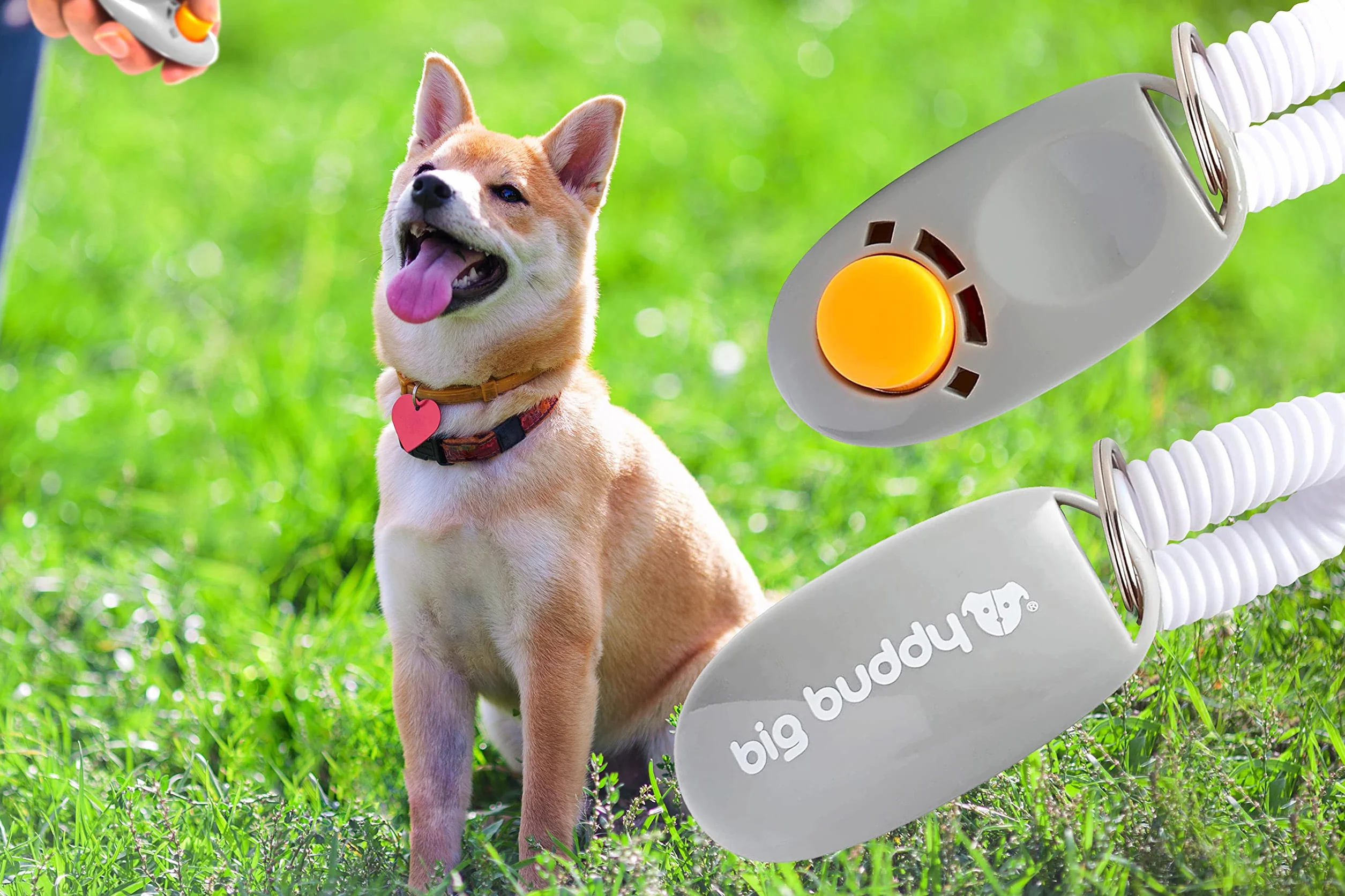 Clicker professionale big buddy con cinturino elastico da polso, per addestramento con il clicker di cani, gatti, cavalli