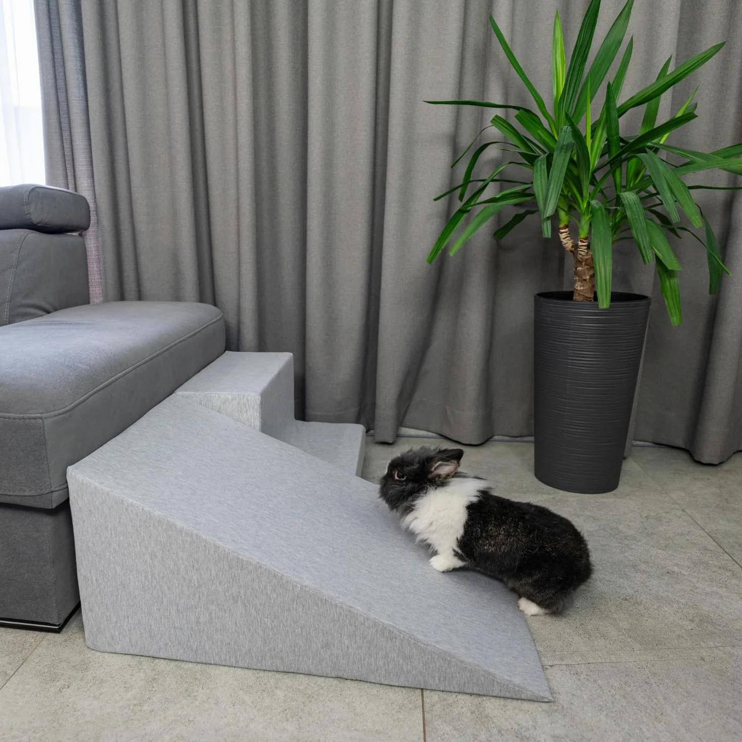 Rampa Per Cani E Gatti, Schiuma Scale Per Animali, Rivestimento Sfoderabile E Lavabile, Grigio Chiaro