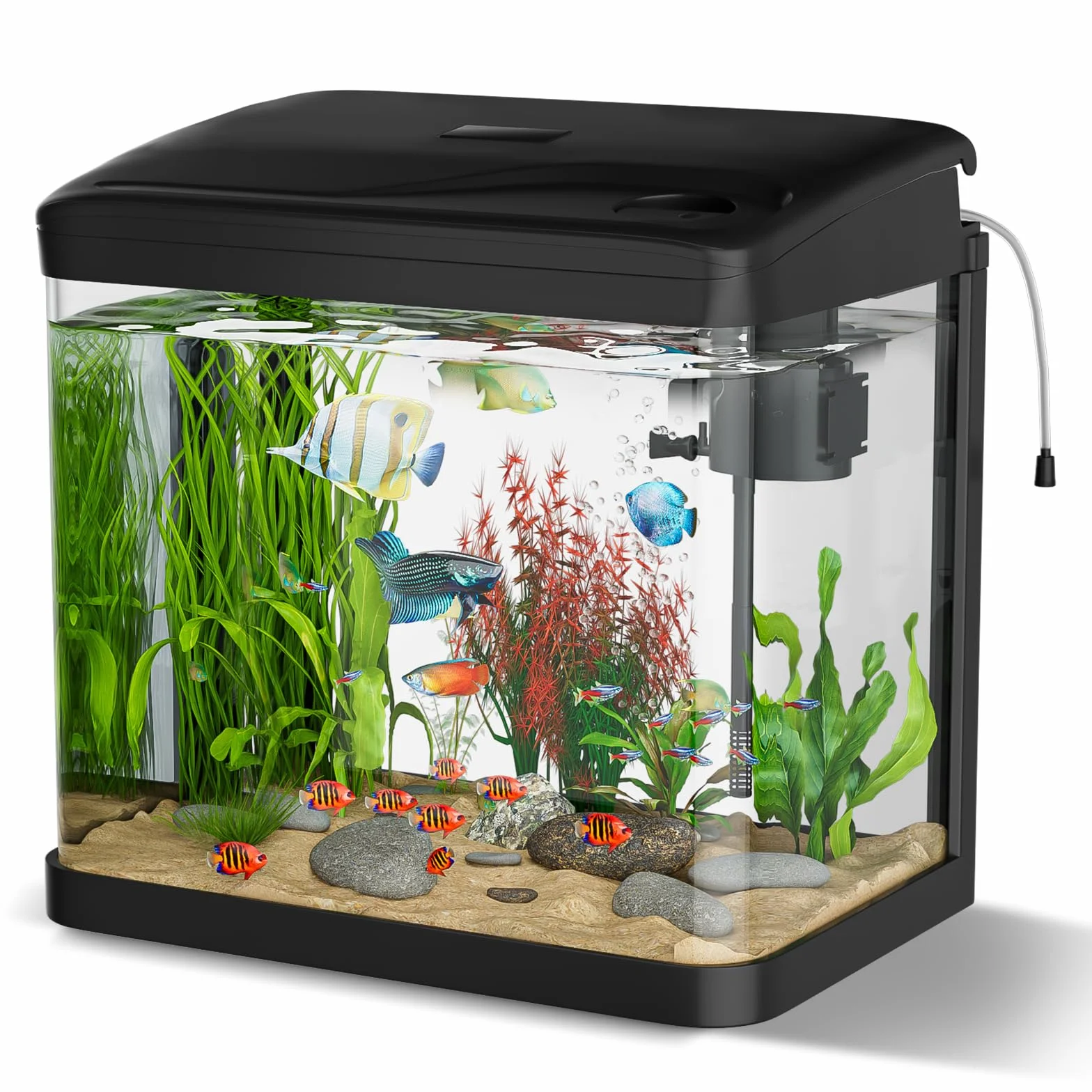 Acquario Piccolo in Vetro, GuKKK Completo Acquarios Per Pesci Rossi Tartarughe D'acqua con Illuminazione a LED e Sistema di Filtraggio,Nero,Set Per Principianti Mini Acquario Completo (10L)