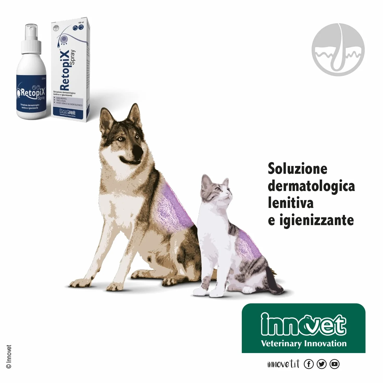 Retopix Spray Soluzione dermatologica lenitiva e igienizzante per Cani e Gatti, in caso di Secrezioni Oleose ed Arrossamenti - Confezione 100 ml spray no gas