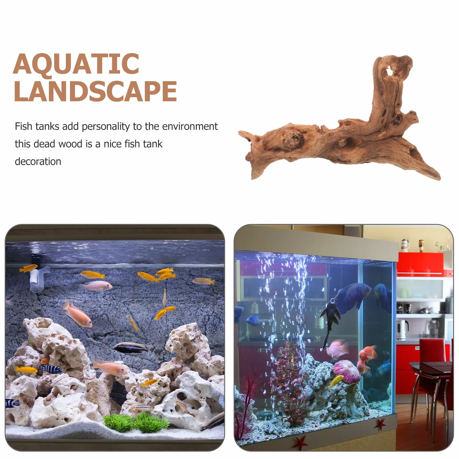 FOMIYES Legno sommerso per acquario, legno di mangrovie naturale, per acquari, legno morto per acquari, decorazioni in legno, ananas e legno morto ornamenti in legno