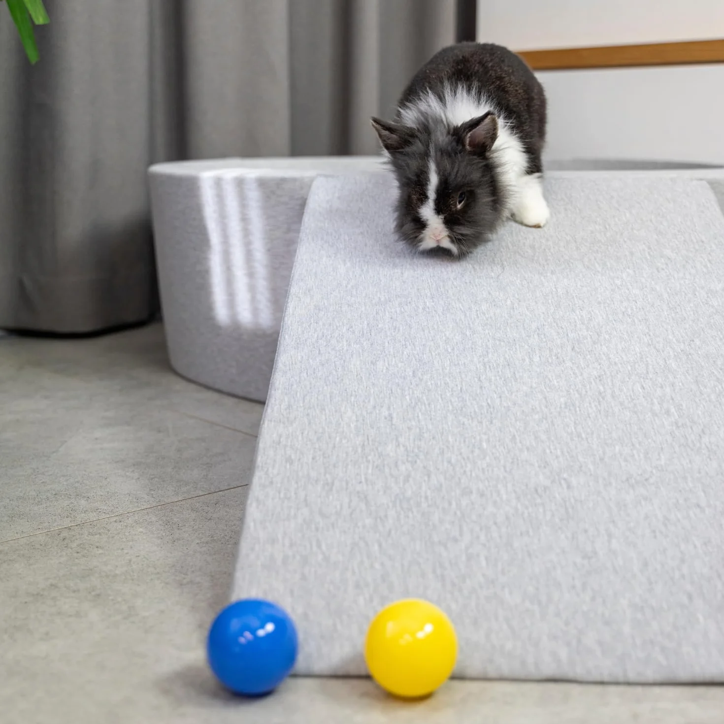 Rampa Per Cani E Gatti, Schiuma Scale Per Animali, Rivestimento Sfoderabile E Lavabile, Grigio Chiaro