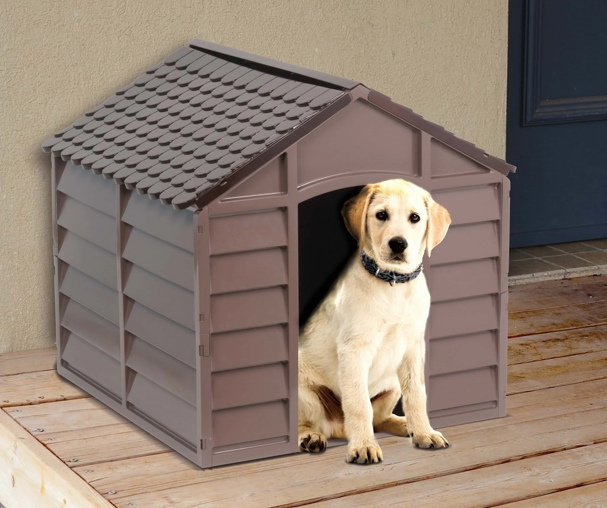 Vigor Cuccia per Cani Dog Kennel